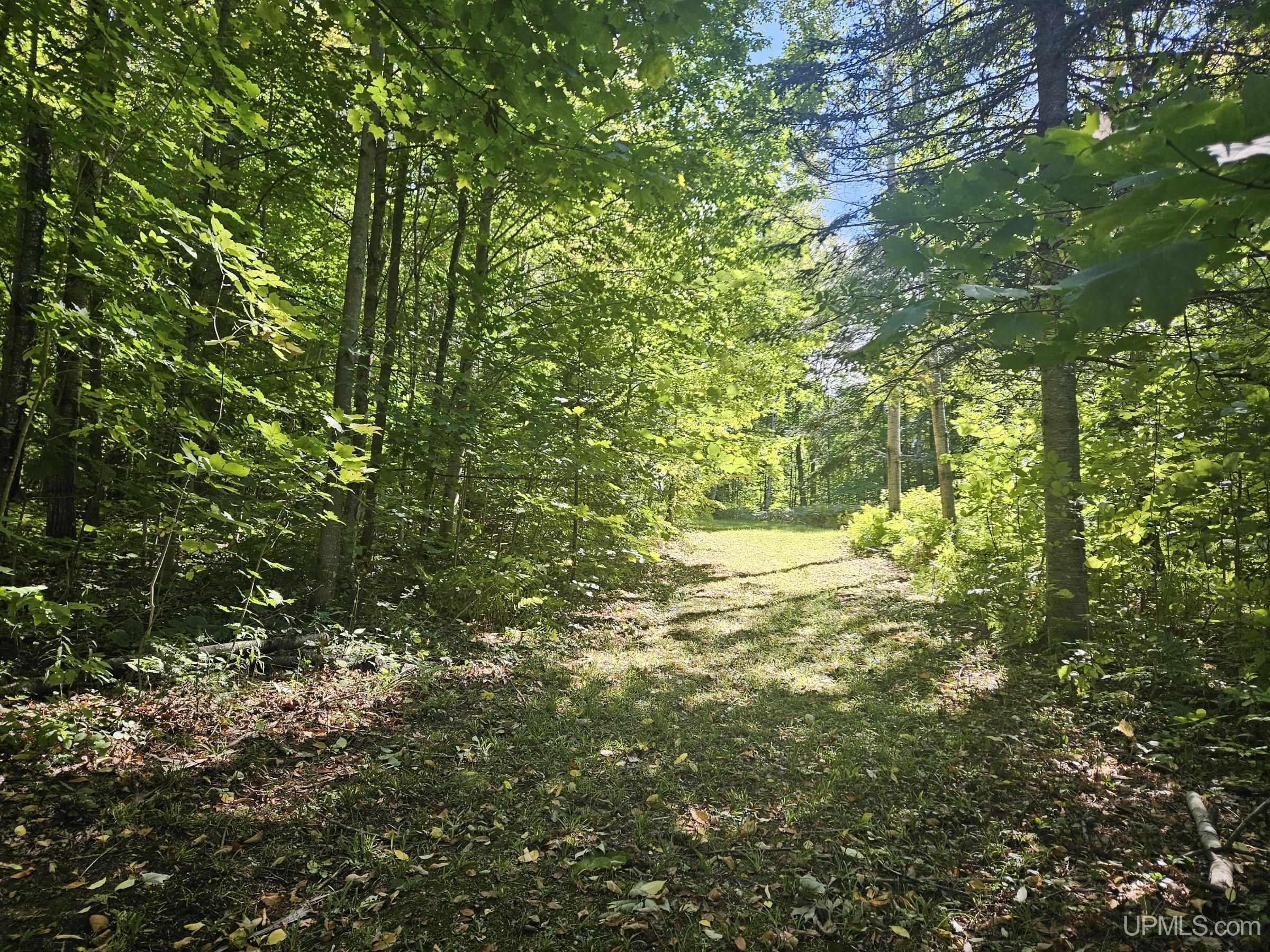 Photo 3 of Land for sale at N12756 Vanderhagen Rd, Ironwood, MI 49938 | MLS# 50223072 | Listing updated on 2026-09-26