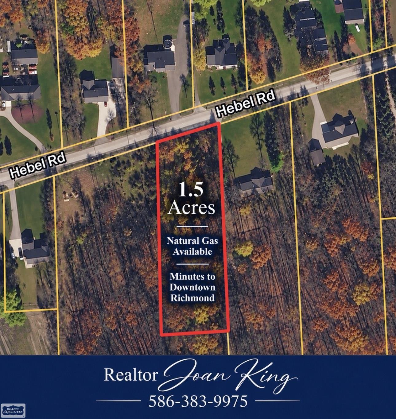 Photo 3 of Land for sale at 0 Hebel Rd, Richmond, MI 48062 | MLS# 58050223073 | Listing updated on 2026-09-28