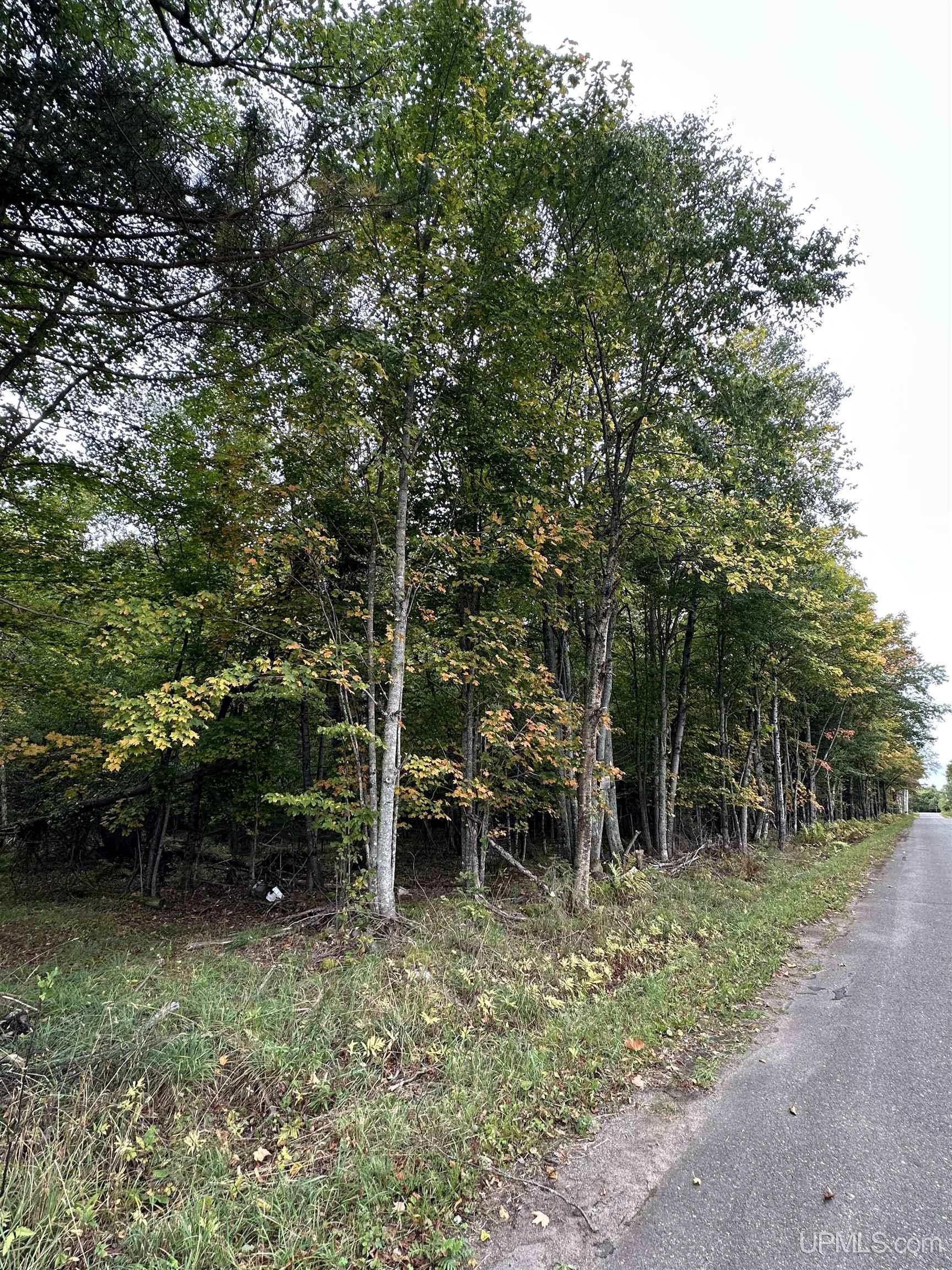 Photo 1 of Land for sale at Tbd Hibbard St, Iron River, MI 49935 | MLS# 50223102 | Listing updated on 2026-09-27
