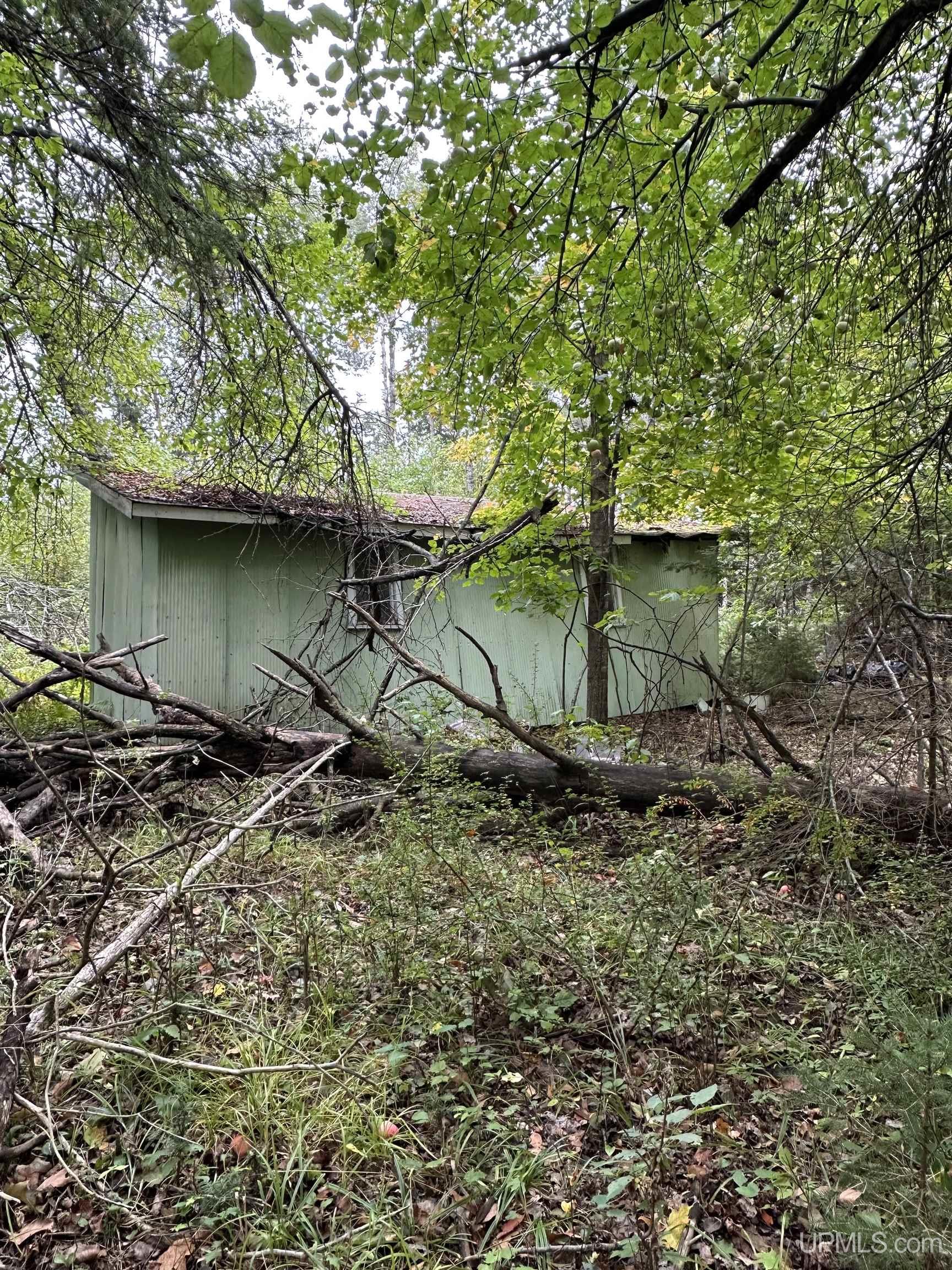 Photo 3 of Land for sale at Tbd Hibbard St, Iron River, MI 49935 | MLS# 50223102 | Listing updated on 2026-09-27