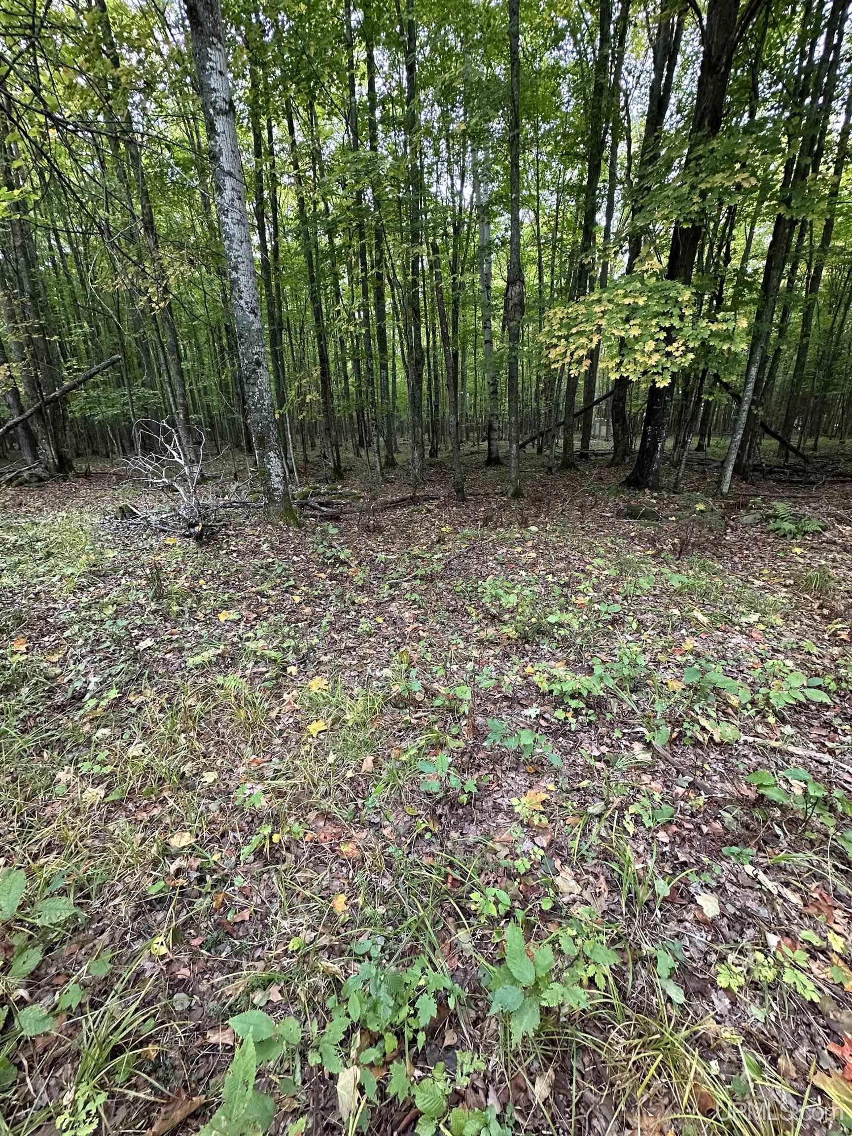 Photo 4 of Land for sale at Tbd Hibbard St, Iron River, MI 49935 | MLS# 50223102 | Listing updated on 2026-09-27