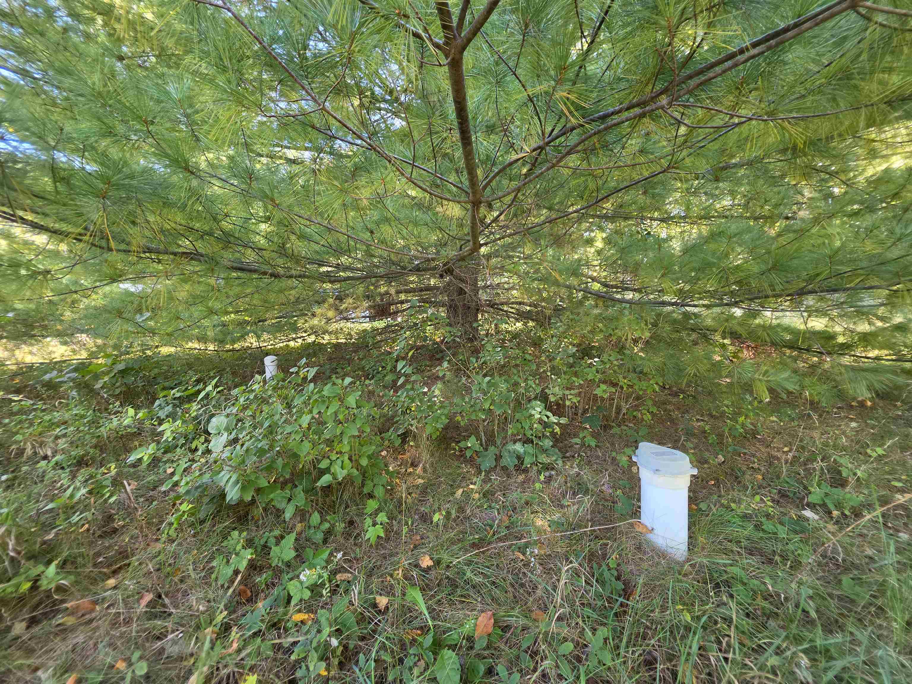 Photo 4 of Single family home for sale at 8689 Holly St, Lake, MI 48632 | MLS# 50223113 | Listing updated on 2026-09-29