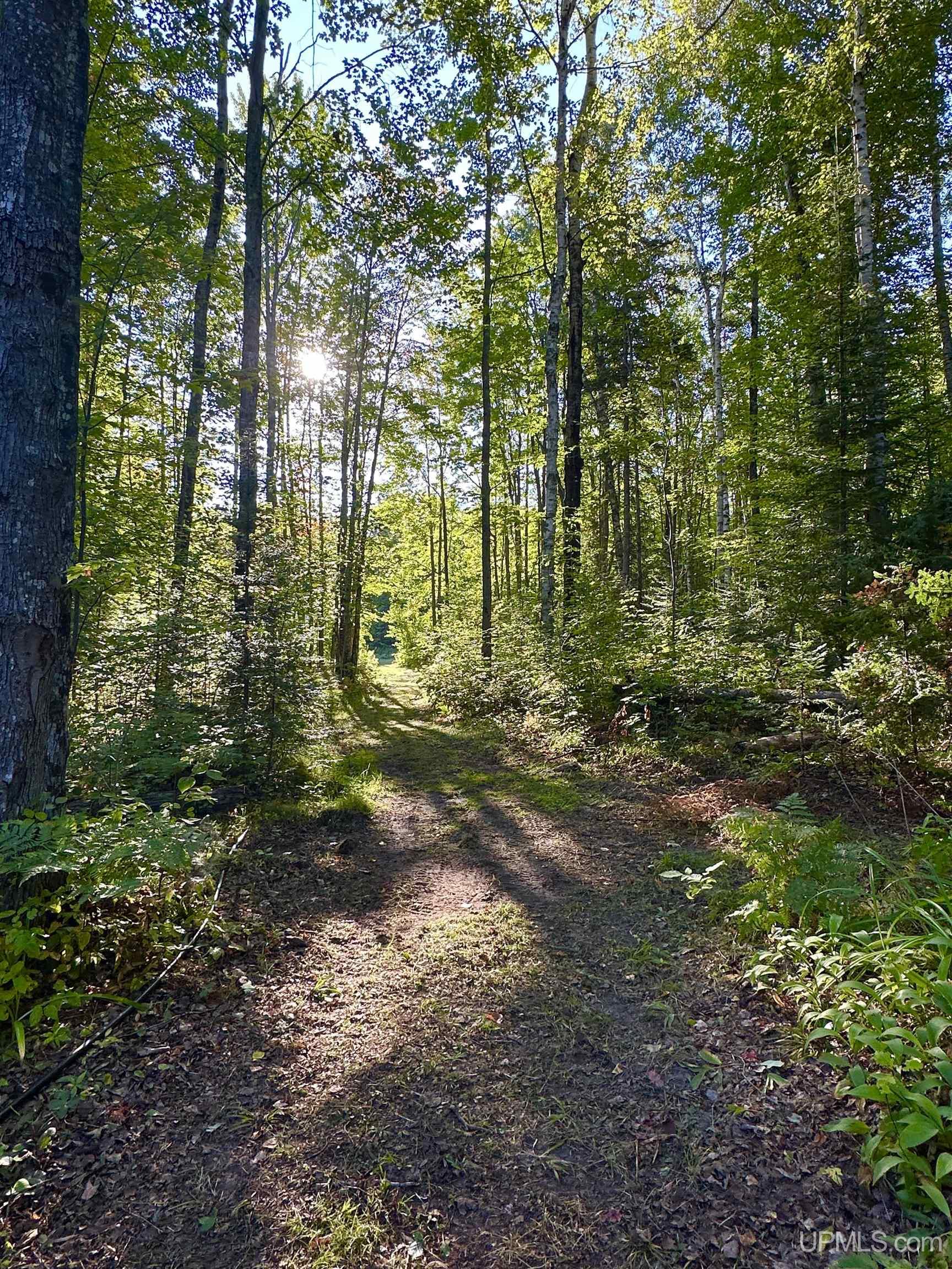 Photo 2 of Single family home for sale at 1375 Mangum Rd, Marquette, MI 49855 | MLS# 50223227 | Listing updated on 2026-10-05