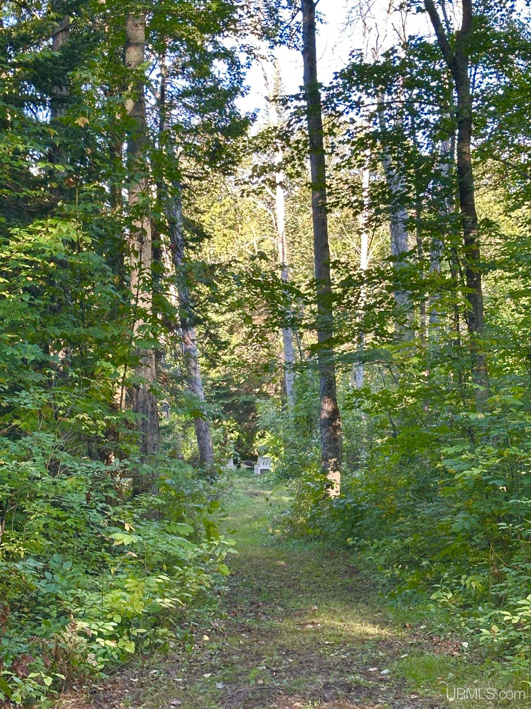 Photo 3 of Single family home for sale at 1375 Mangum Rd, Marquette, MI 49855 | MLS# 50223227 | Listing updated on 2026-10-05