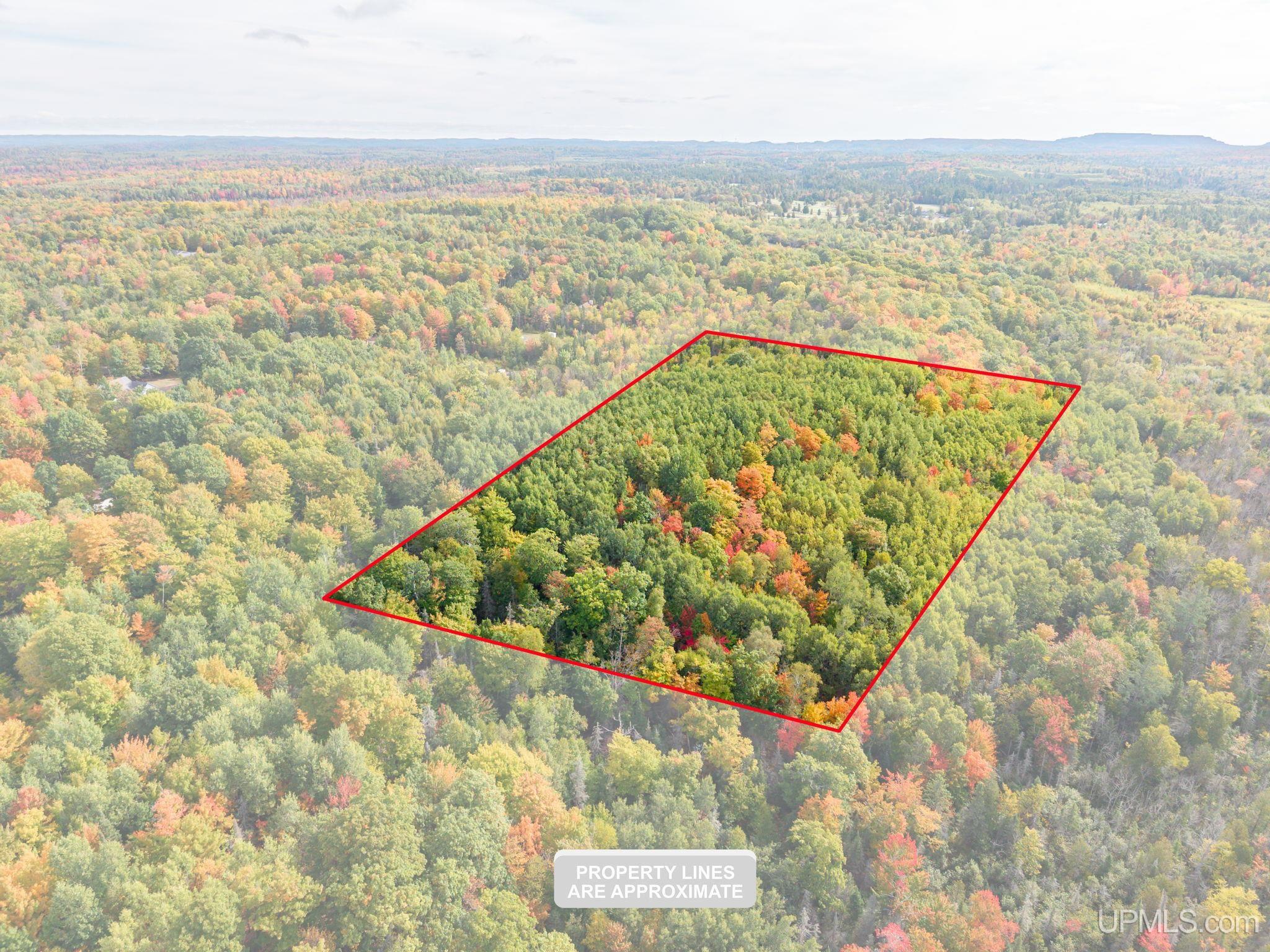 Photo 1 of Land for sale at Tbd Co Rd Cn, Ishpeming, MI 49849 | MLS# 50223230 | Listing updated on 2026-09-28