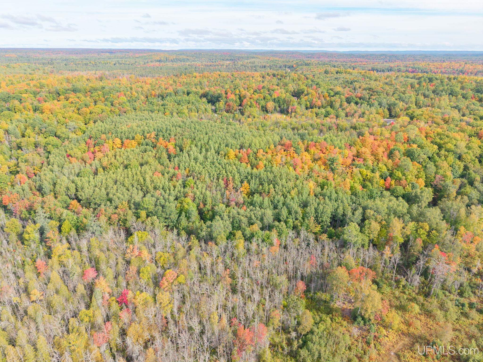 Photo 3 of Land for sale at Tbd Co Rd Cn, Ishpeming, MI 49849 | MLS# 50223230 | Listing updated on 2026-09-28