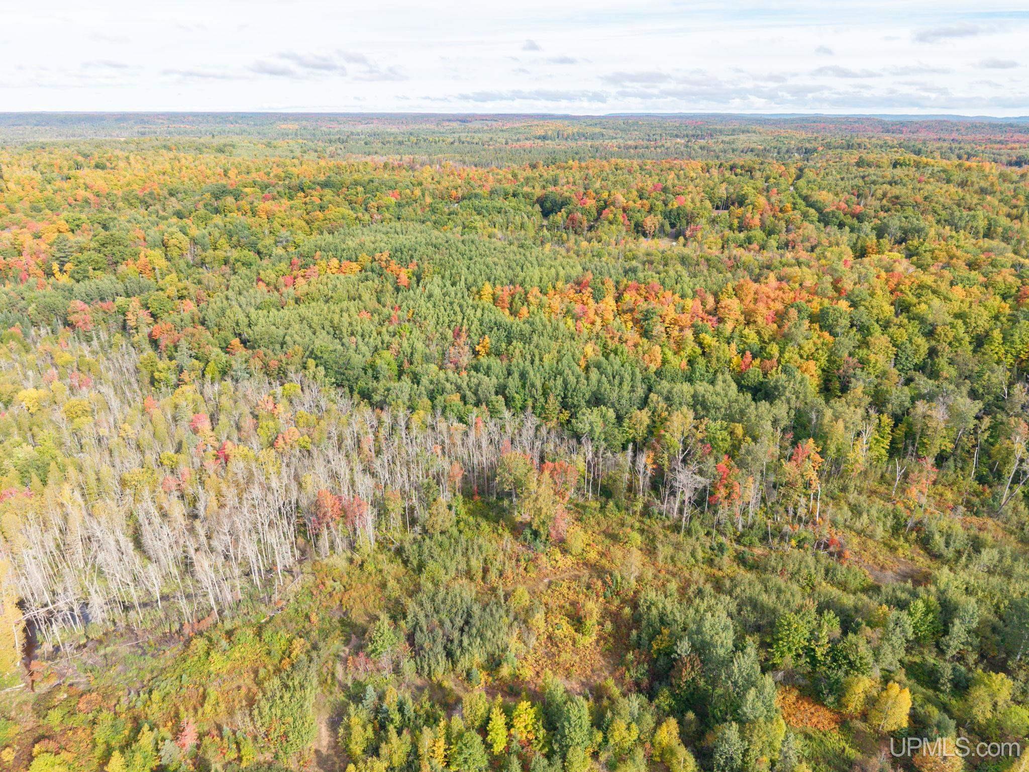 Photo 4 of Land for sale at Tbd Co Rd Cn, Ishpeming, MI 49849 | MLS# 50223230 | Listing updated on 2026-09-28