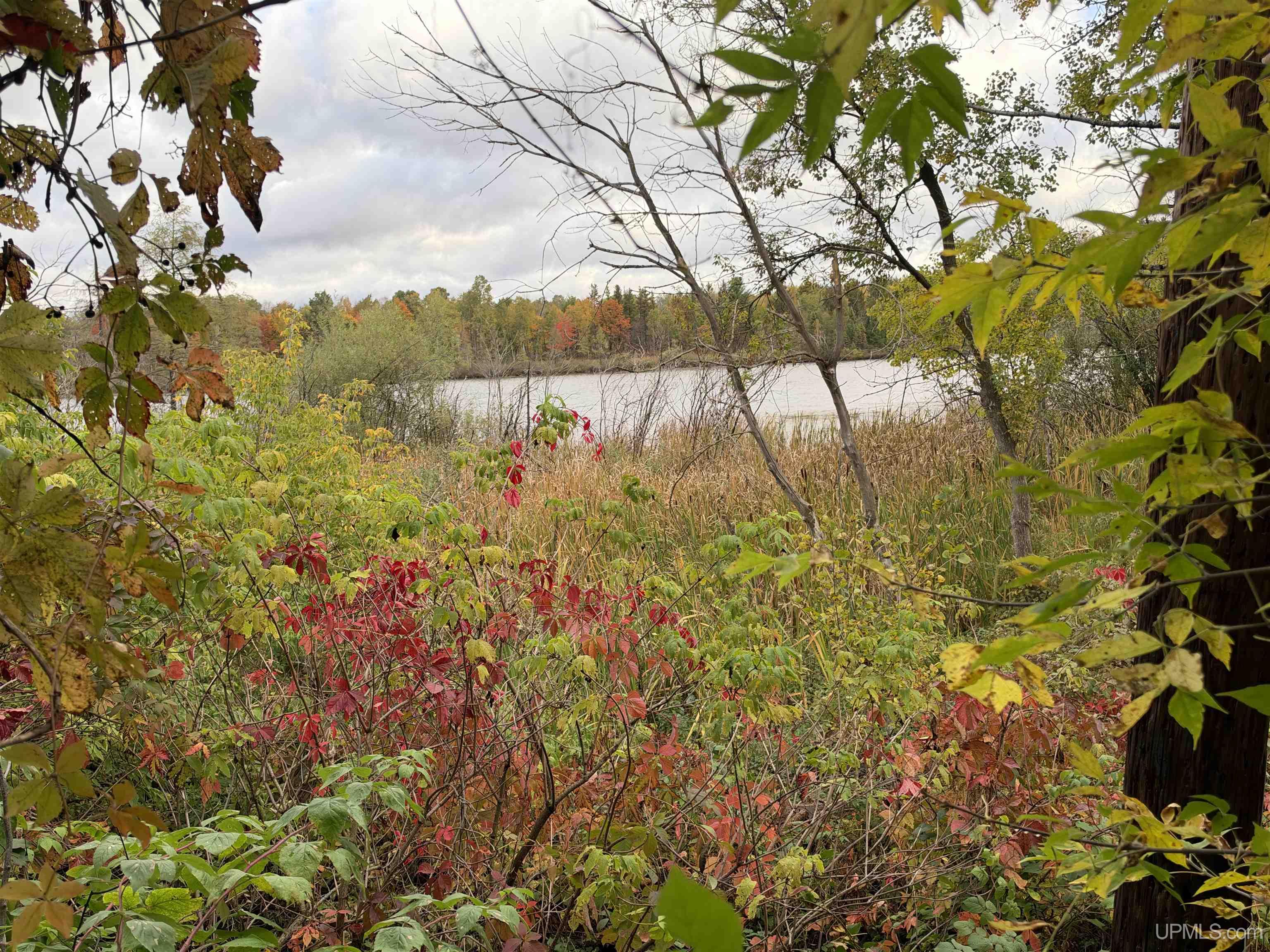 Photo 2 of Single family home for sale at 709 Park St, Ishpeming, MI 49849 | MLS# 50223363 | Listing updated on 2026-10-20