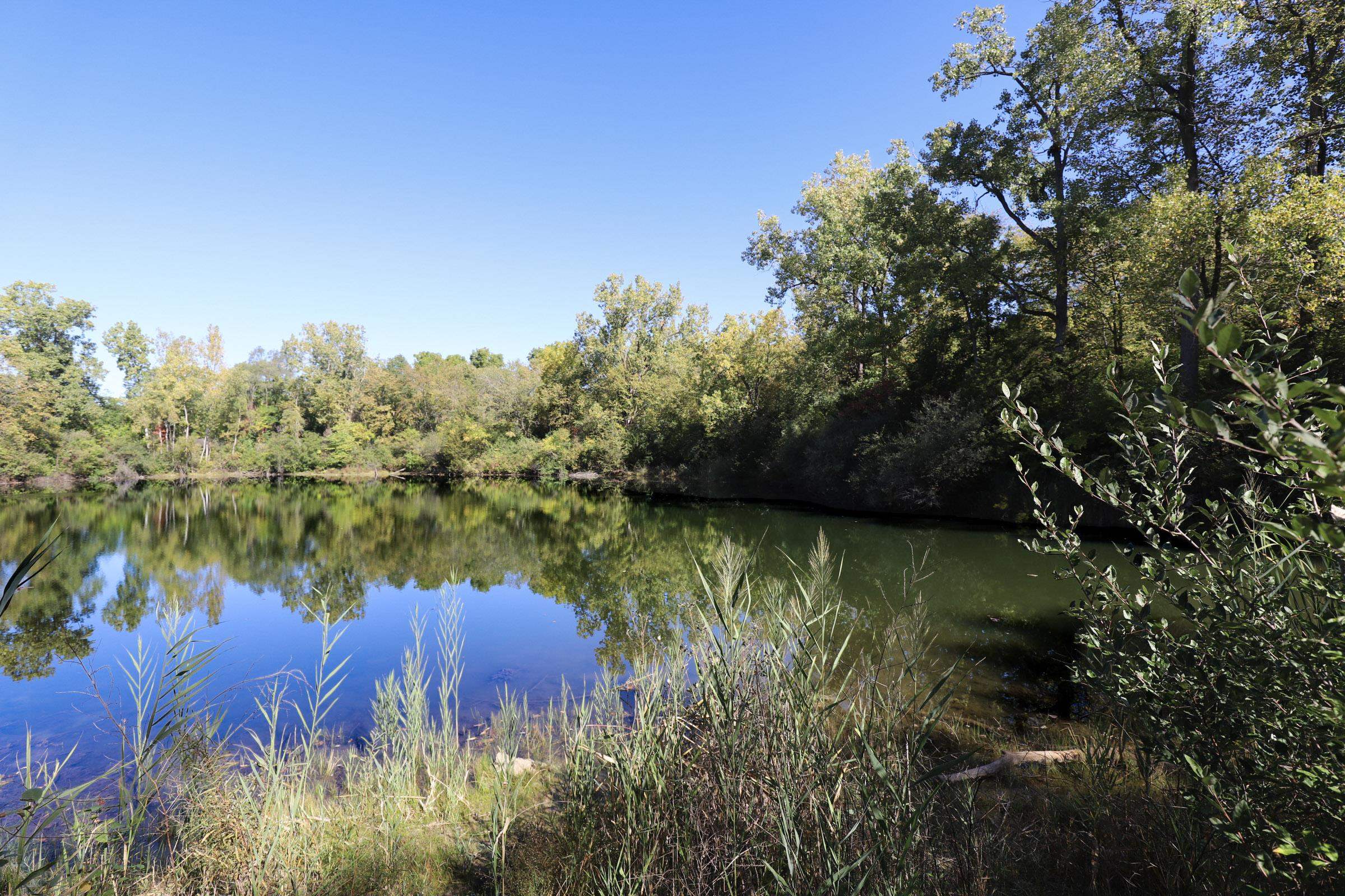 Photo 3 of Land for sale at 1411 Coutant St, Flushing, MI 48433 | MLS# 5050223459 | Listing updated on 2026-10-02