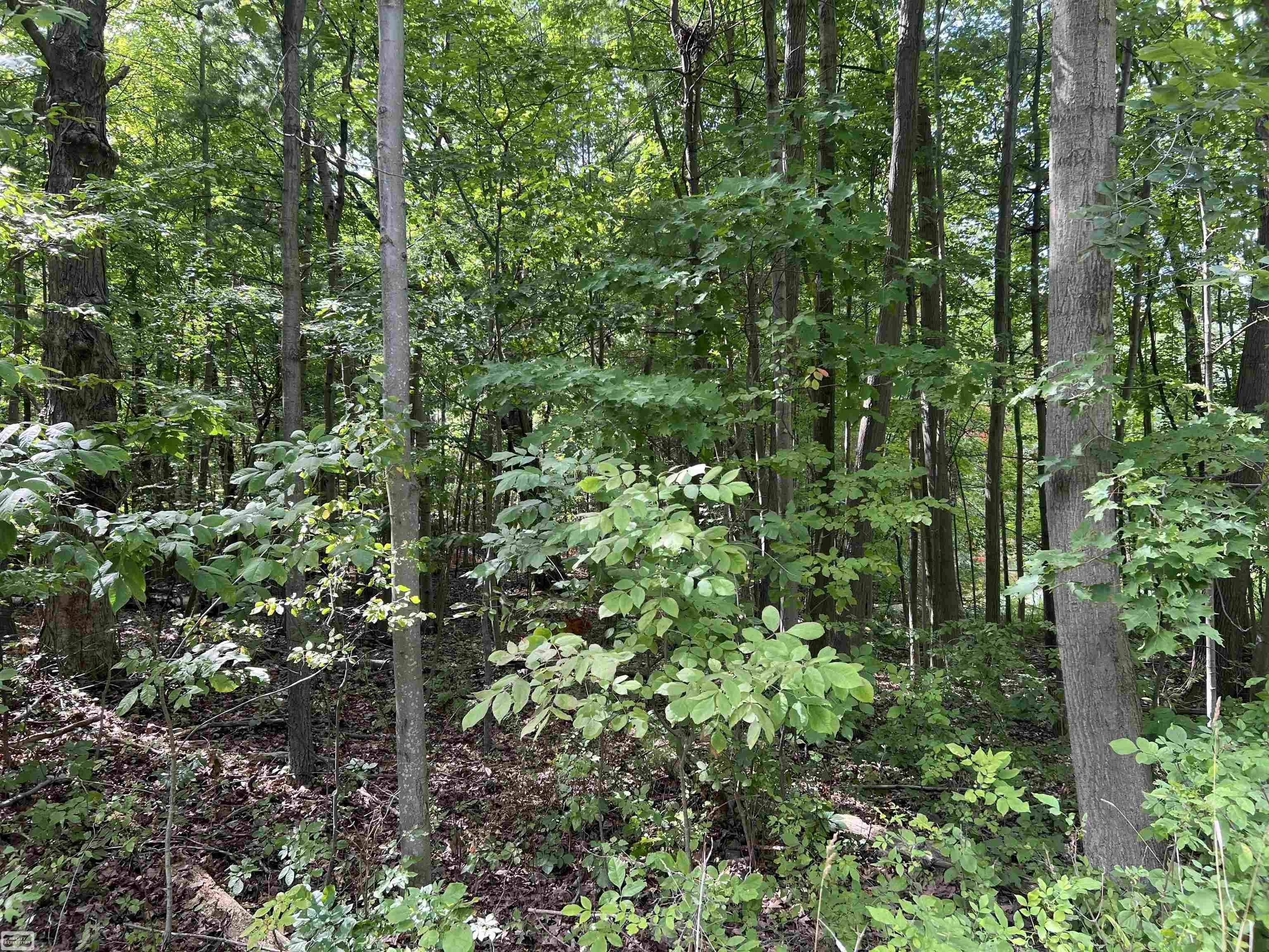 Photo 1 of Land for sale at 0 Burton Rd, Mussey Township St Clair, MI 48014 | MLS# 58050223489 | Listing updated on 2026-10-01