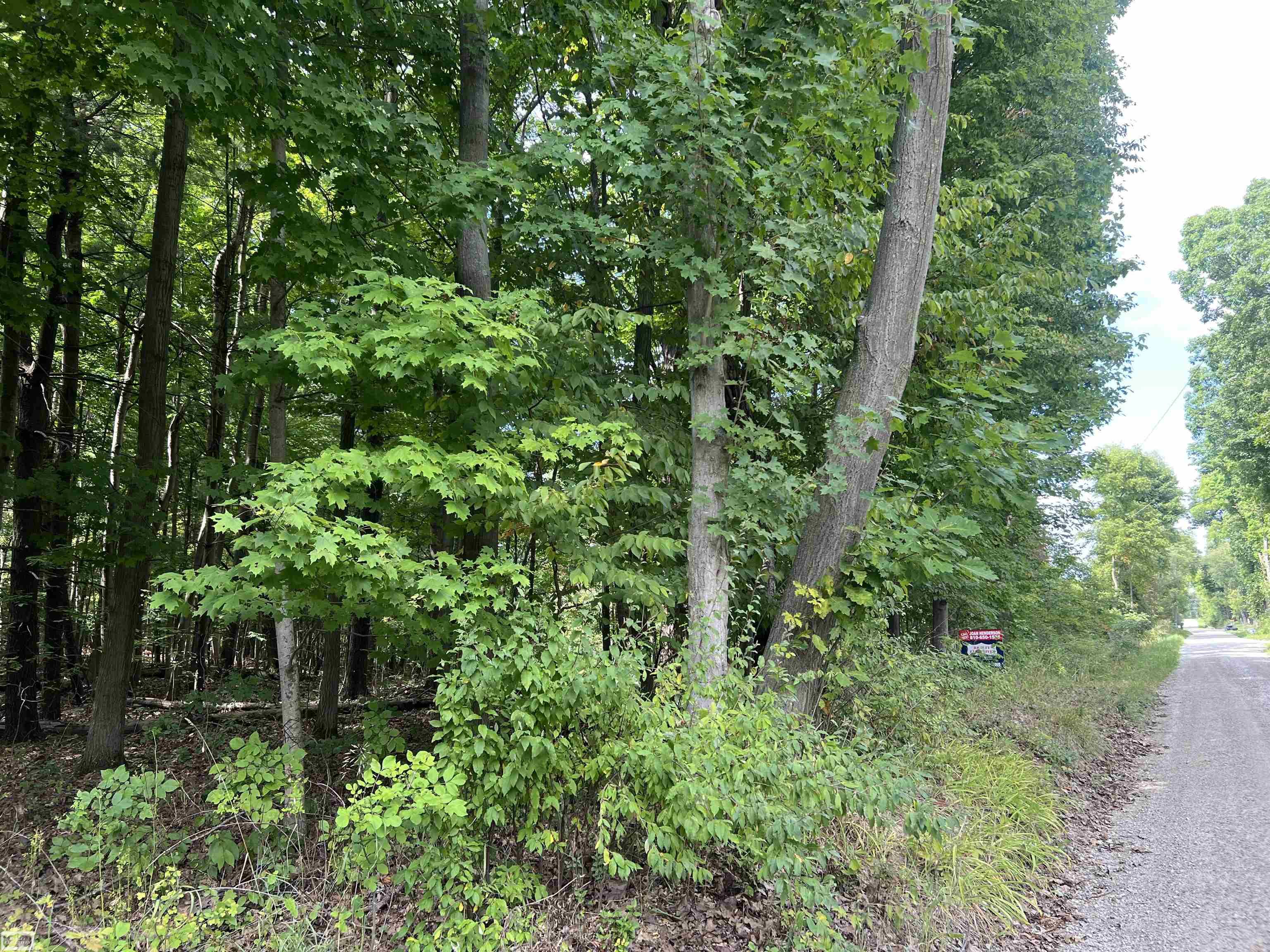 Photo 2 of Land for sale at 0 Burton Rd, Mussey Township St Clair, MI 48014 | MLS# 58050223489 | Listing updated on 2026-10-01