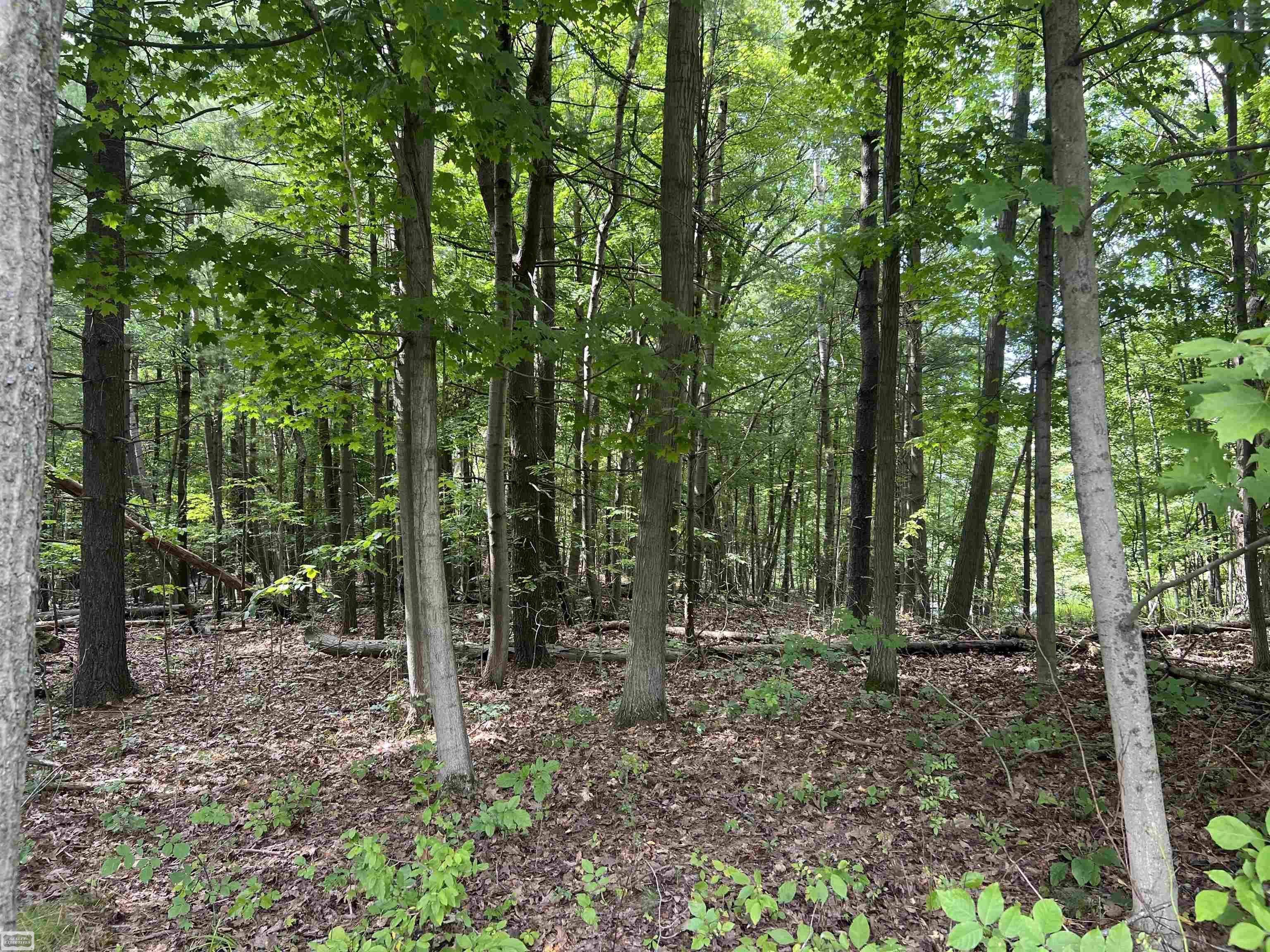 Photo 3 of Land for sale at 0 Burton Rd, Mussey Township St Clair, MI 48014 | MLS# 58050223489 | Listing updated on 2026-10-01