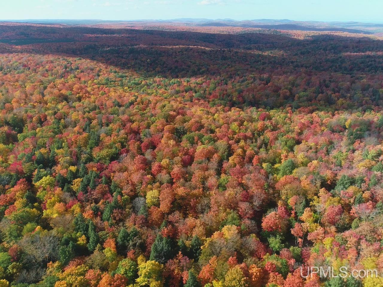 Photo 1 of Land for sale at 80 Acres Co Rd 510, Ishpeming, MI 49849 | MLS# 50223512 | Listing updated on 2026-10-01