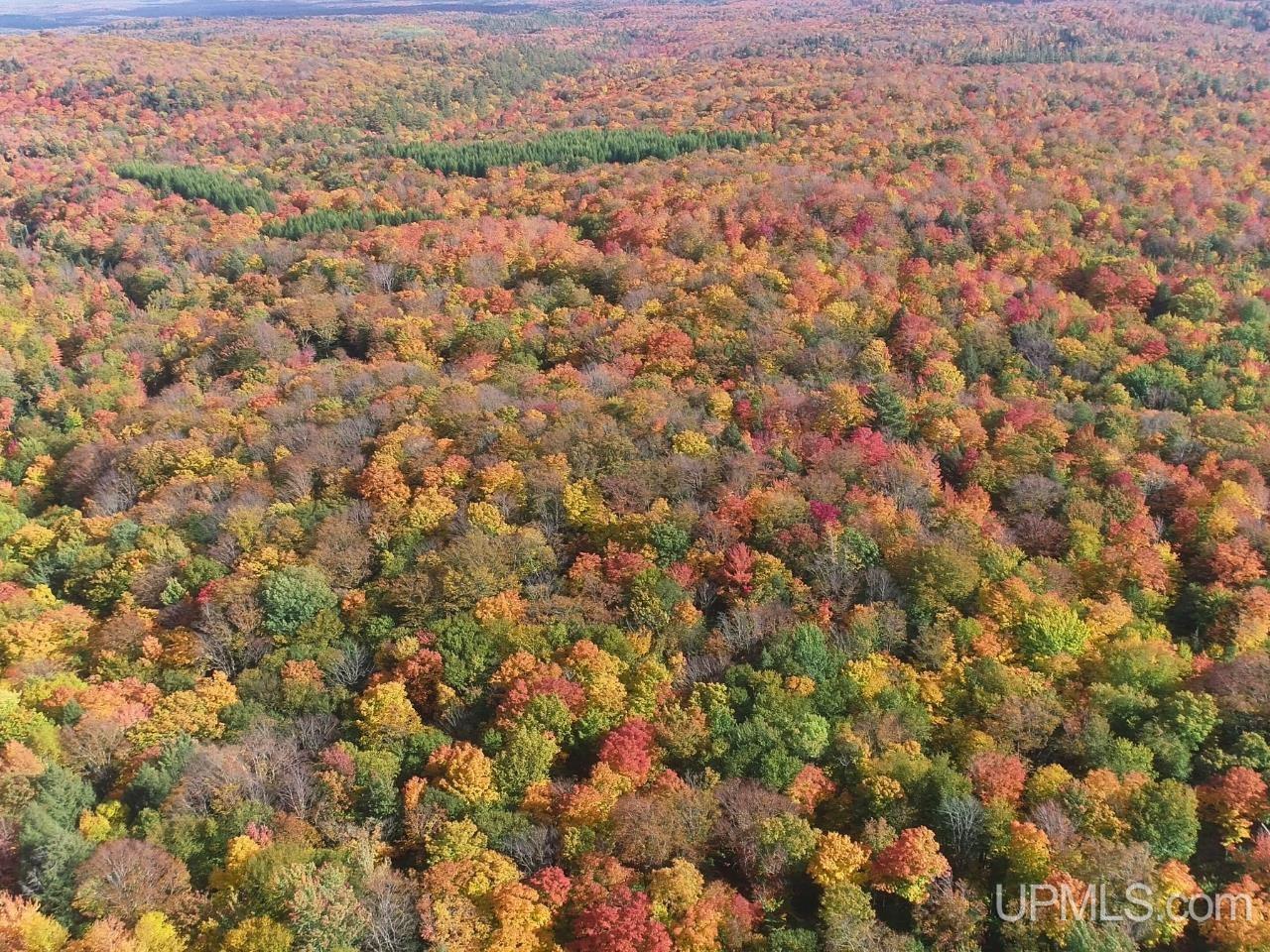 Photo 2 of Land for sale at 80 Acres Co Rd 510, Ishpeming, MI 49849 | MLS# 50223512 | Listing updated on 2026-10-01