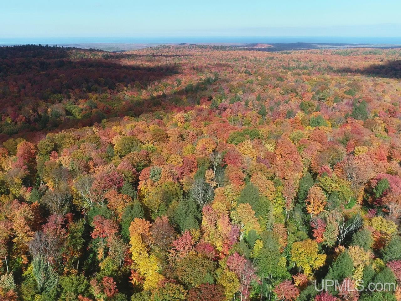 Photo 3 of Land for sale at 80 Acres Co Rd 510, Ishpeming, MI 49849 | MLS# 50223512 | Listing updated on 2026-10-01