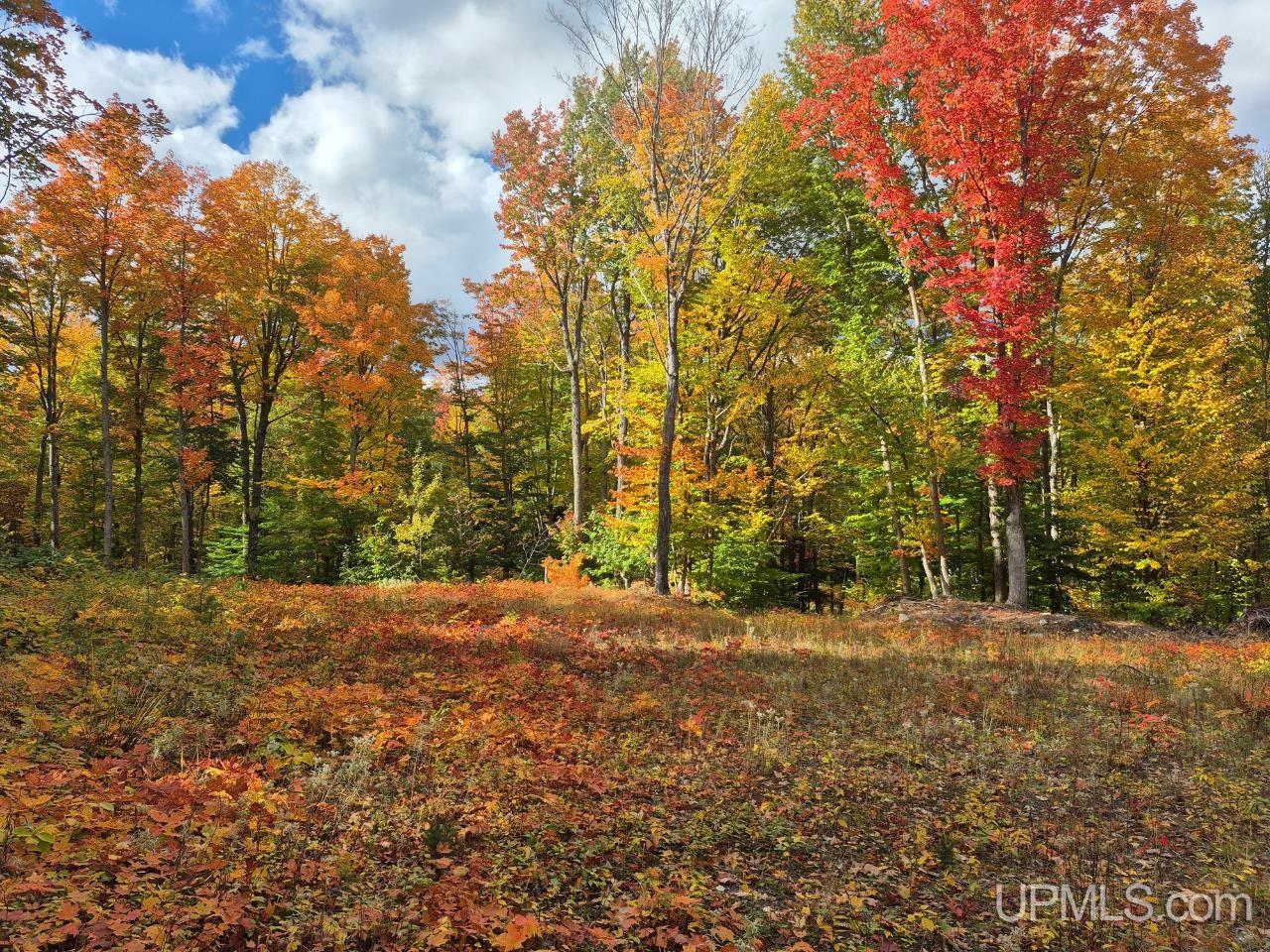 Photo 3 of Land for sale at 80 Acres Co Rd 510, Ishpeming, MI 49849 | MLS# 50223512 | Listing updated on 2026-10-01