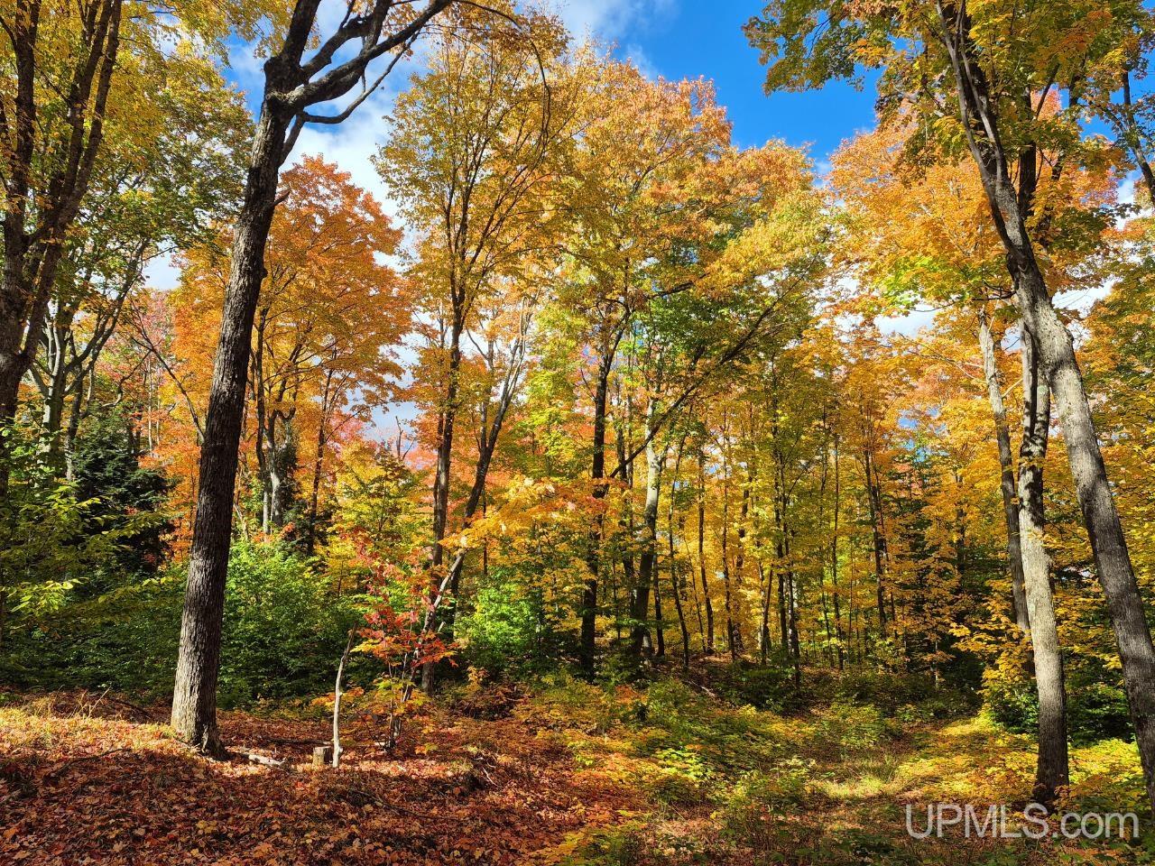 Photo 4 of Land for sale at 80 Acres Co Rd 510, Ishpeming, MI 49849 | MLS# 50223512 | Listing updated on 2026-10-01