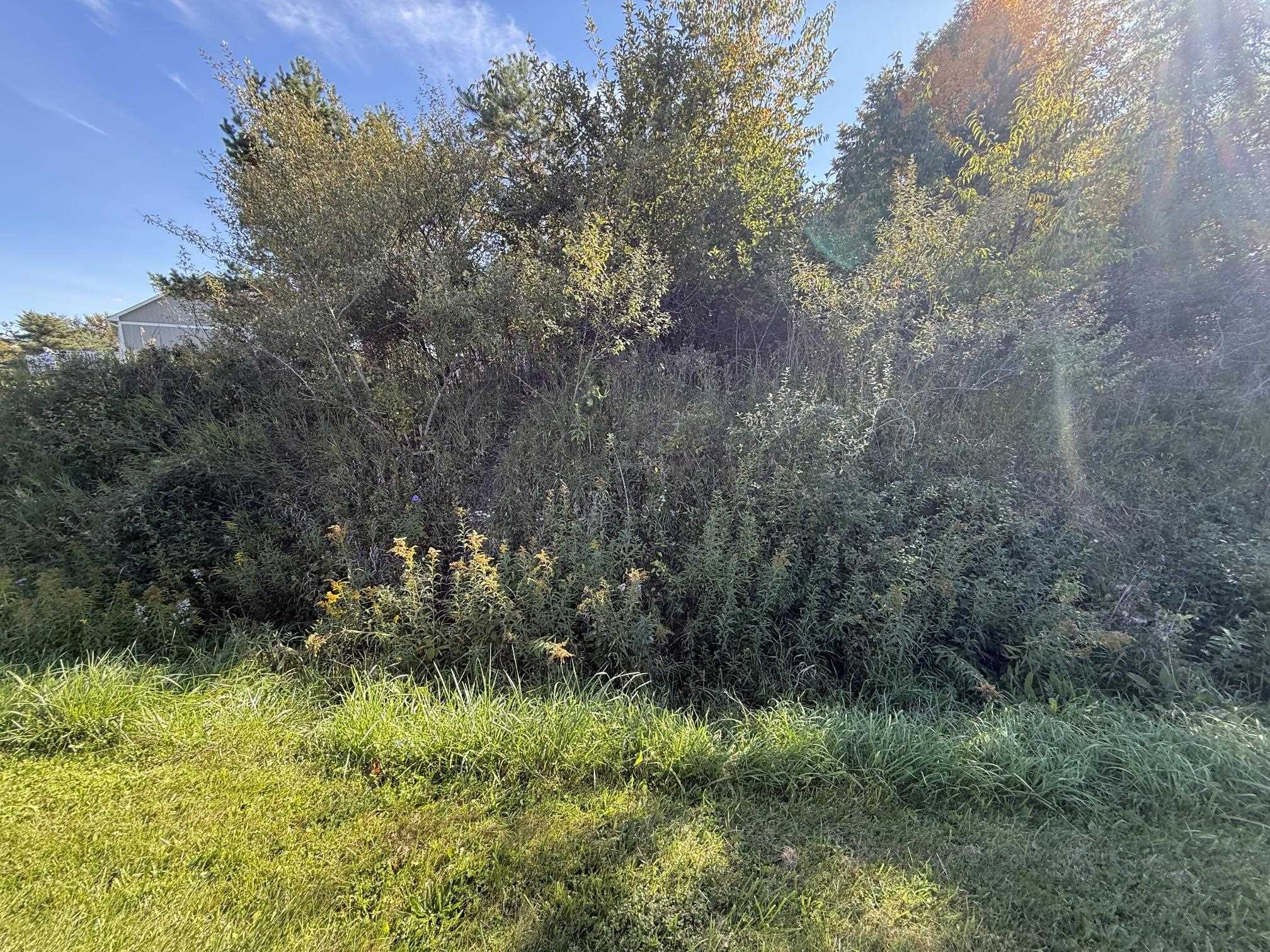 Photo 2 of Land for sale at Lot 67 Hamilton Way, Gladwin, MI 48624 | MLS# 50223519 | Listing updated on 2026-10-01