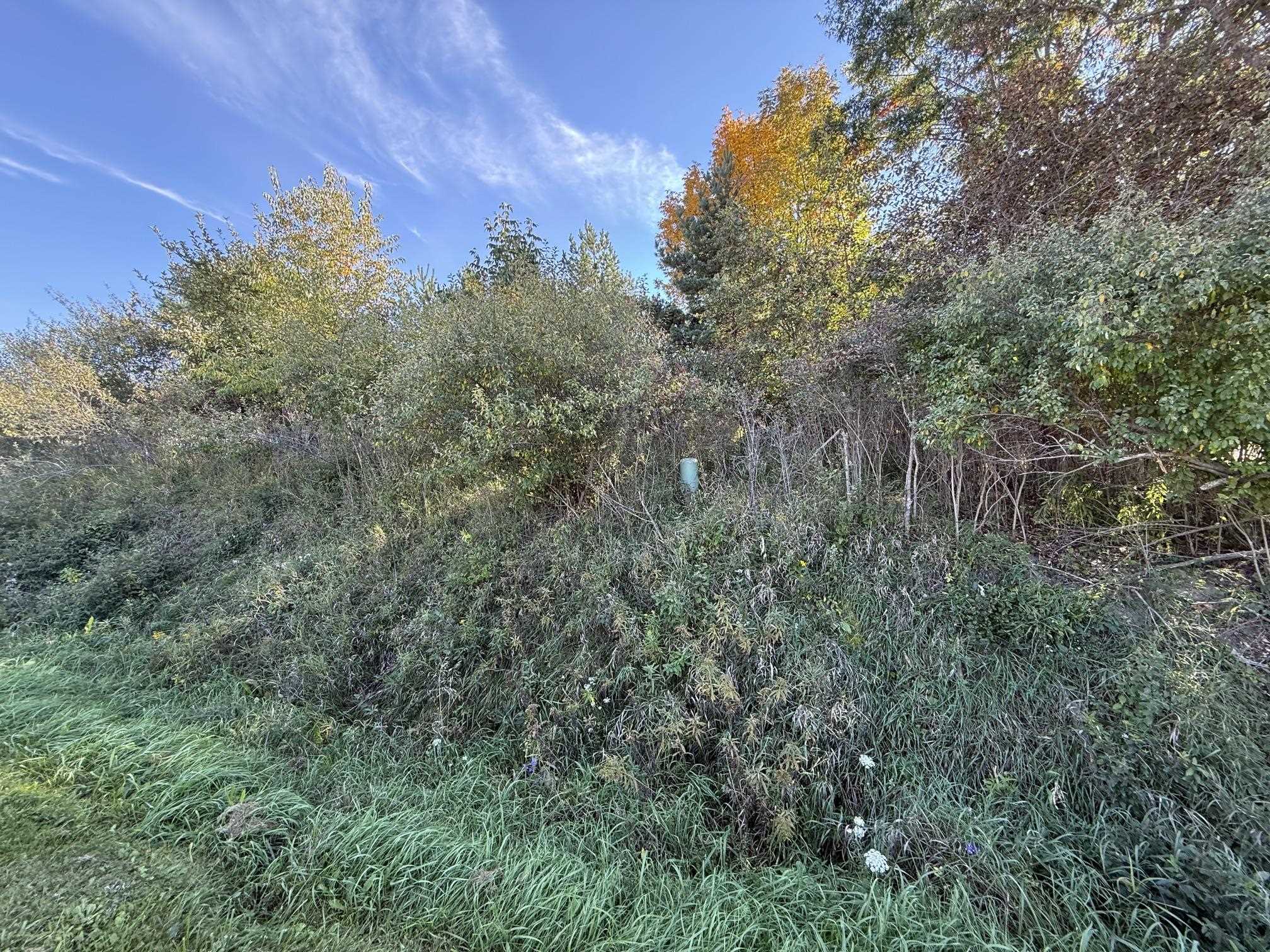 Photo 3 of Land for sale at Lot 67 Hamilton Way, Gladwin, MI 48624 | MLS# 50223519 | Listing updated on 2026-10-01