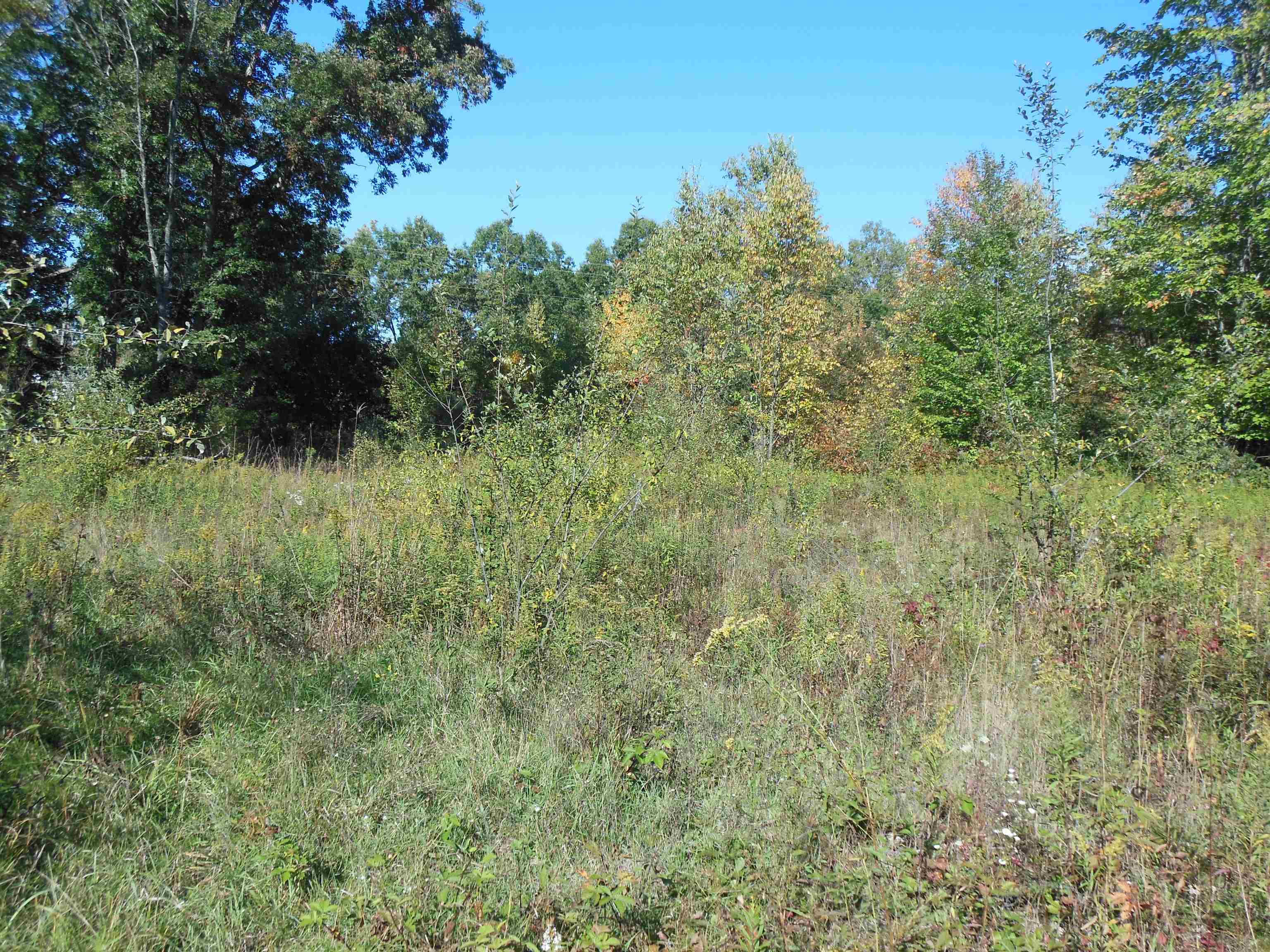 Photo 2 of Land for sale at 3572 N Ball Ave, Harrison, MI 48625 | MLS# 50223562 | Listing updated on 2026-10-05