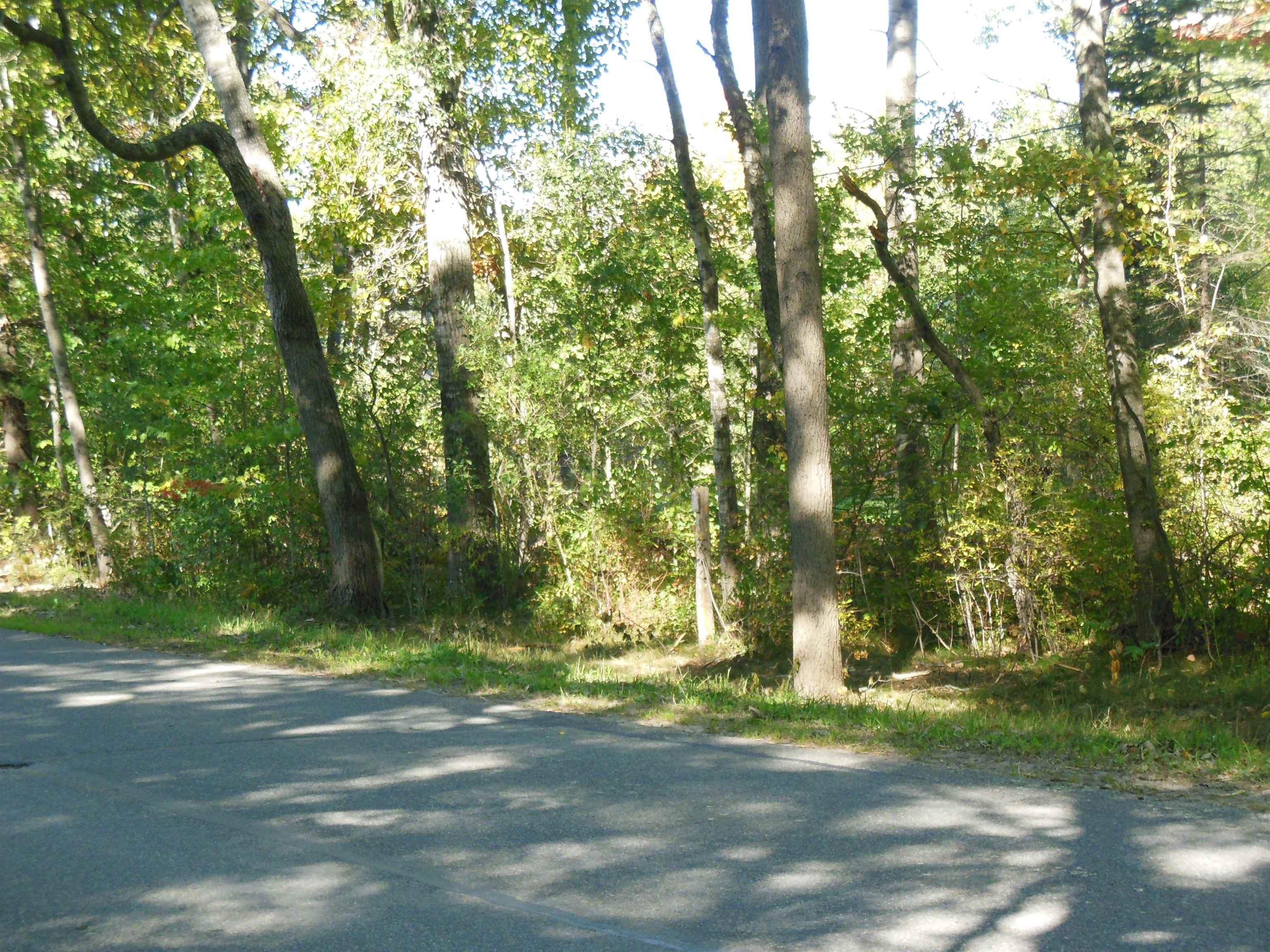 Photo 3 of Land for sale at 3572 N Ball Ave, Harrison, MI 48625 | MLS# 50223562 | Listing updated on 2026-10-05