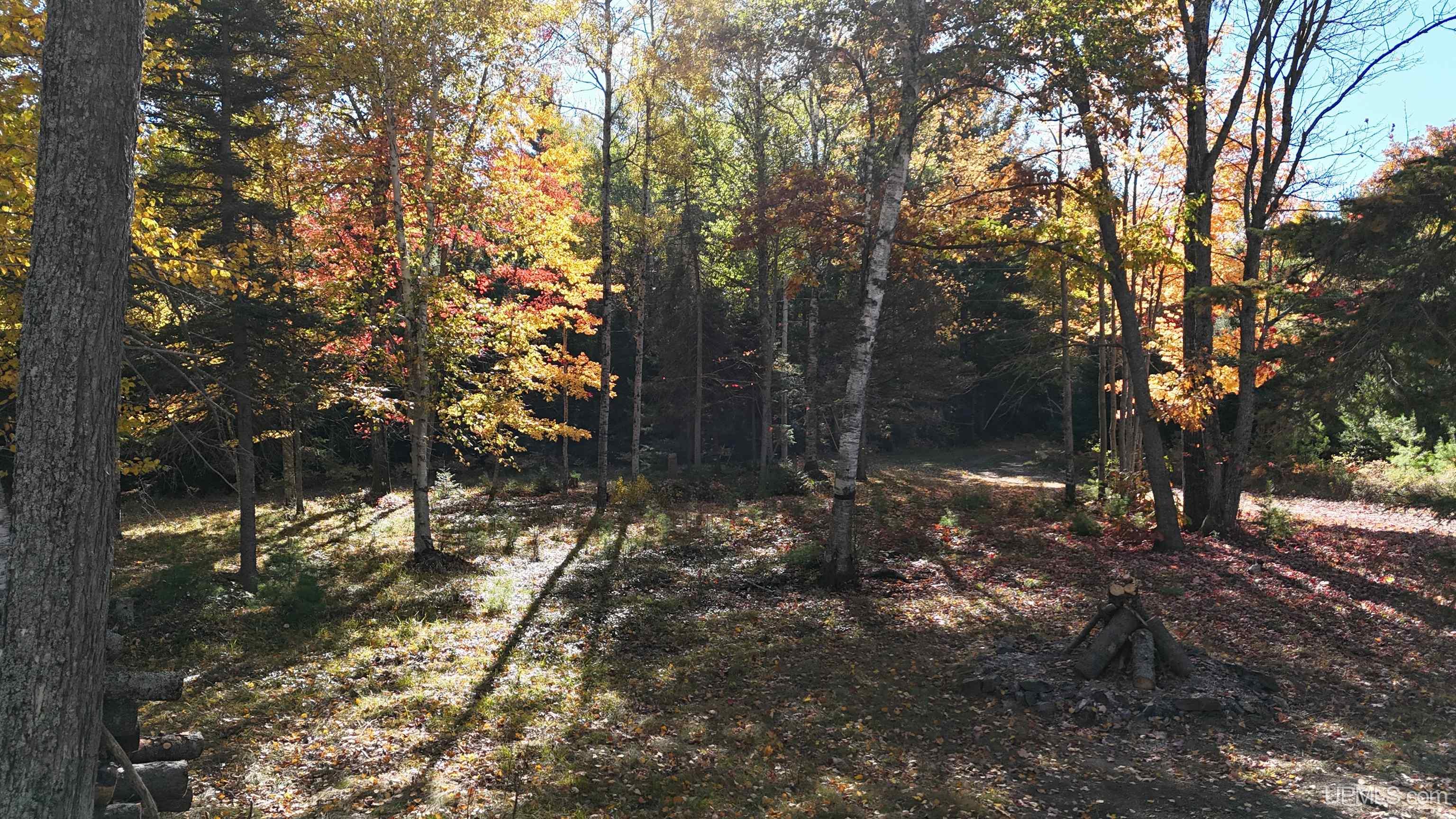 Photo 4 of Single family home for sale at 3266 W County Rd 565, Gwinn, MI 49841 | MLS# 50223602 | Listing updated on 2026-10-03