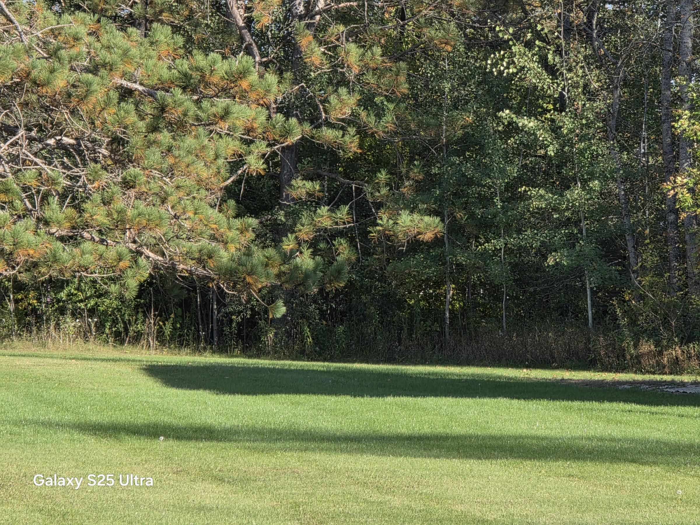 Photo 4 of Land for sale at 1565 Cumberland Cir, Gladwin, MI 48624 | MLS# 50223666 | Listing updated on 2026-10-02