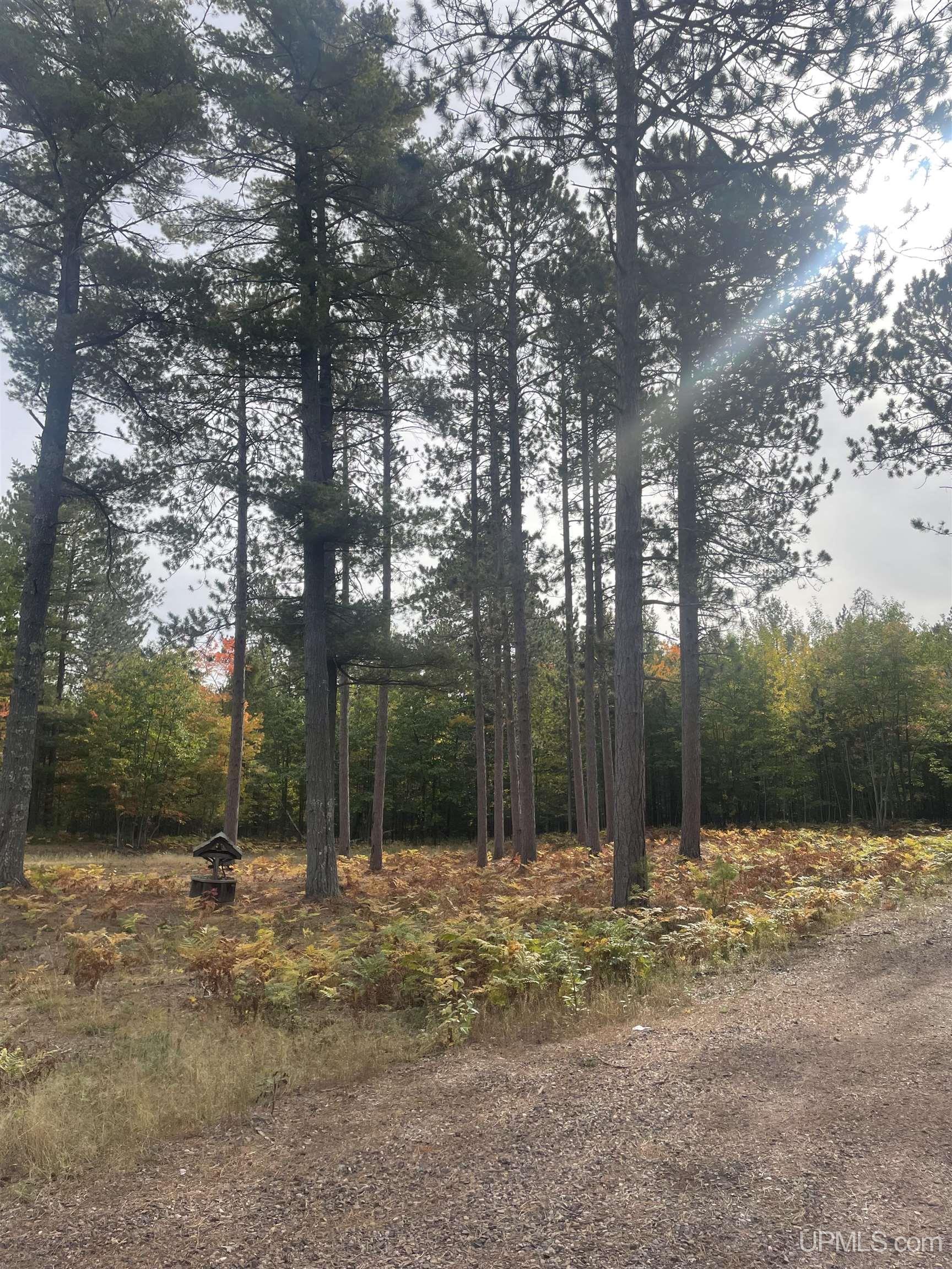 Photo 2 of Land for sale at 1 White Pine Way Rd, Marquette, MI 49855 | MLS# 50223696 | Listing updated on 2026-10-05