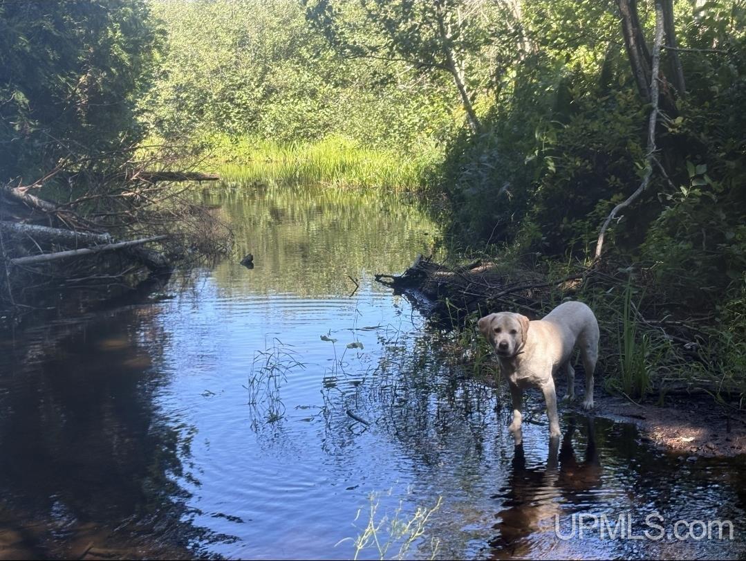 Photo 3 of Land for sale at 94 + Acres Peter White Rd, Deerton, MI 49822 | MLS# 50223746 | Listing updated on 2026-10-05