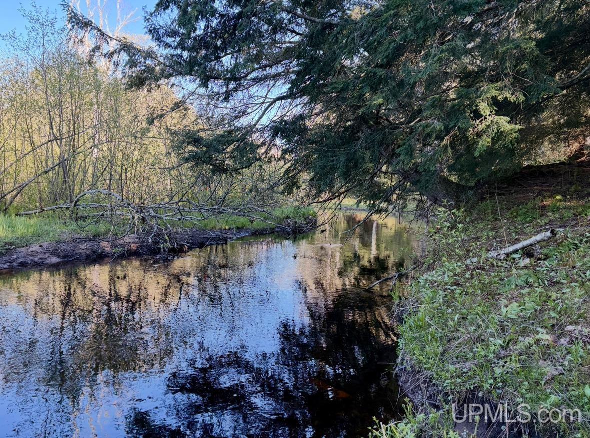 Photo 4 of Land for sale at 94 + Acres Peter White Rd, Deerton, MI 49822 | MLS# 50223746 | Listing updated on 2026-10-05