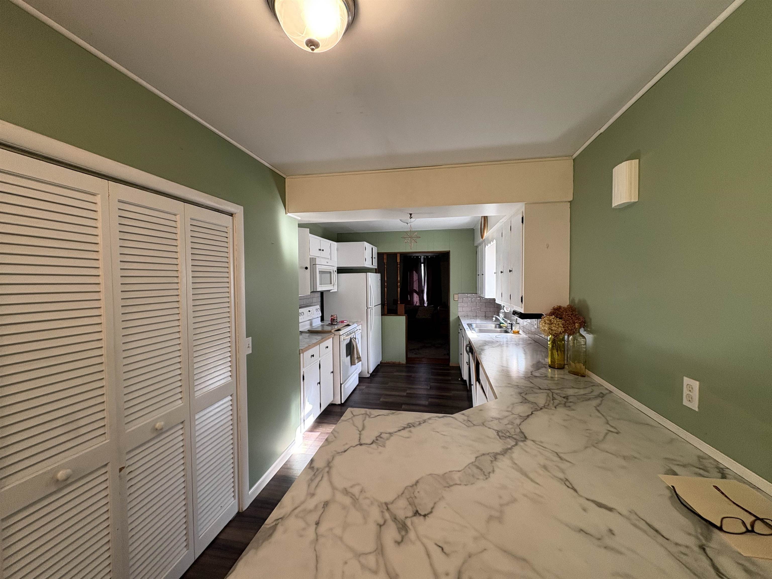 Photo 3 of Single family home for sale at 718 Thayer St, Chesaning, MI 48616 | MLS# 60050223751 | Listing updated on 2026-10-07
