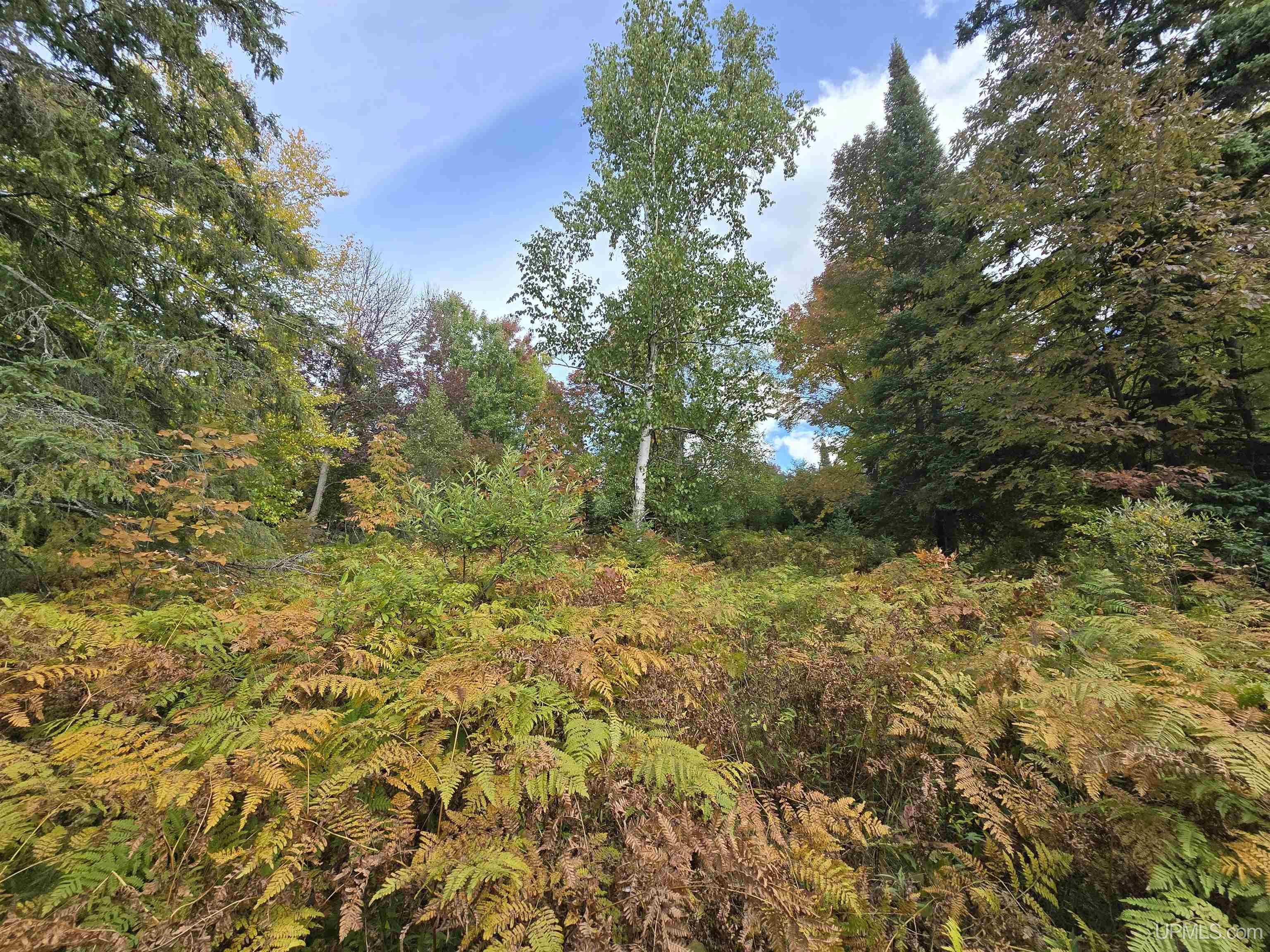 Photo 2 of Land for sale at Tbd Strangle Rd, Bruce Crossing, MI 49912 | MLS# 50223868 | Listing updated on 2026-10-05