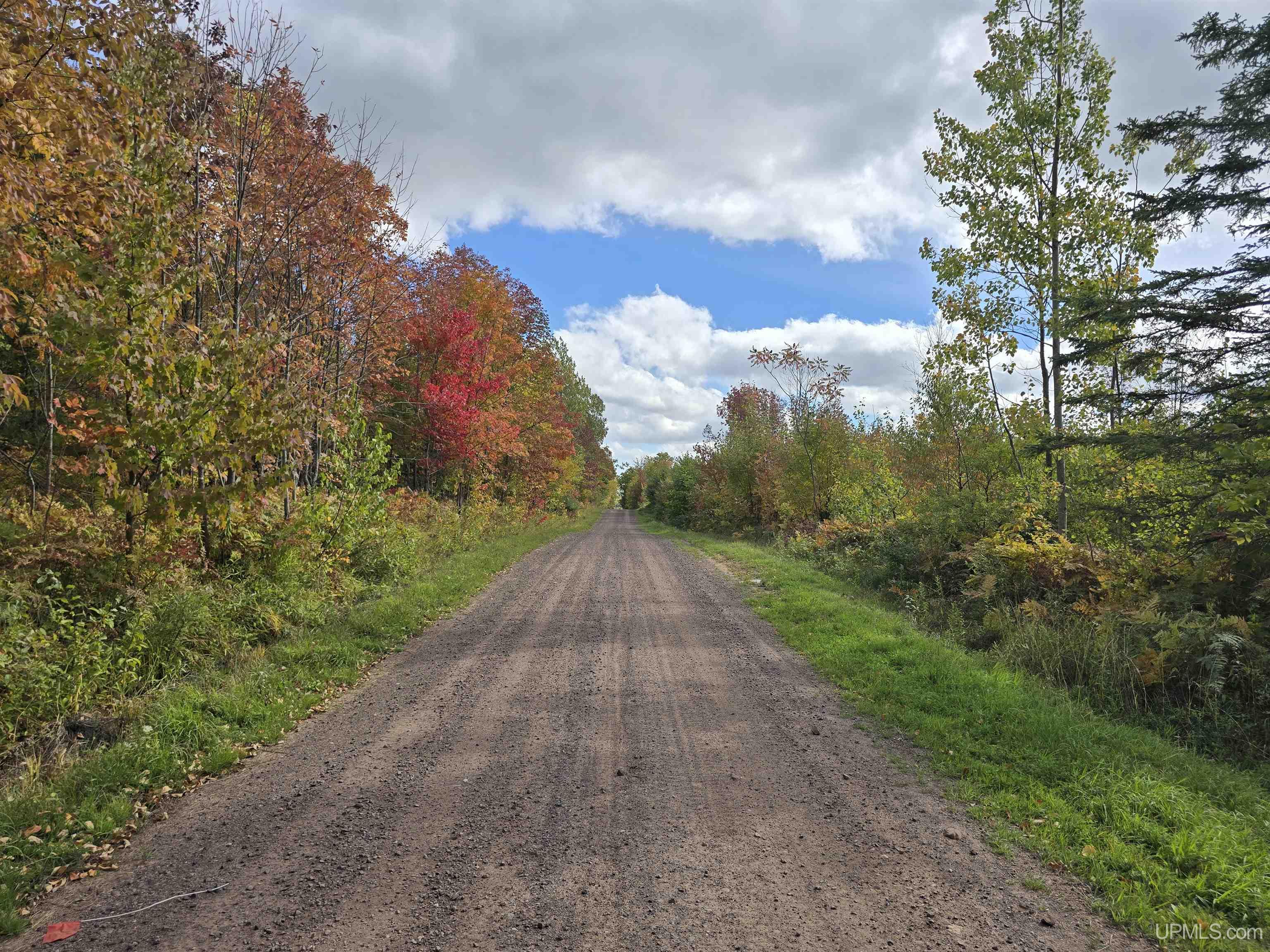 Photo 3 of Land for sale at Tbd Strangle Rd, Bruce Crossing, MI 49912 | MLS# 50223868 | Listing updated on 2026-10-05