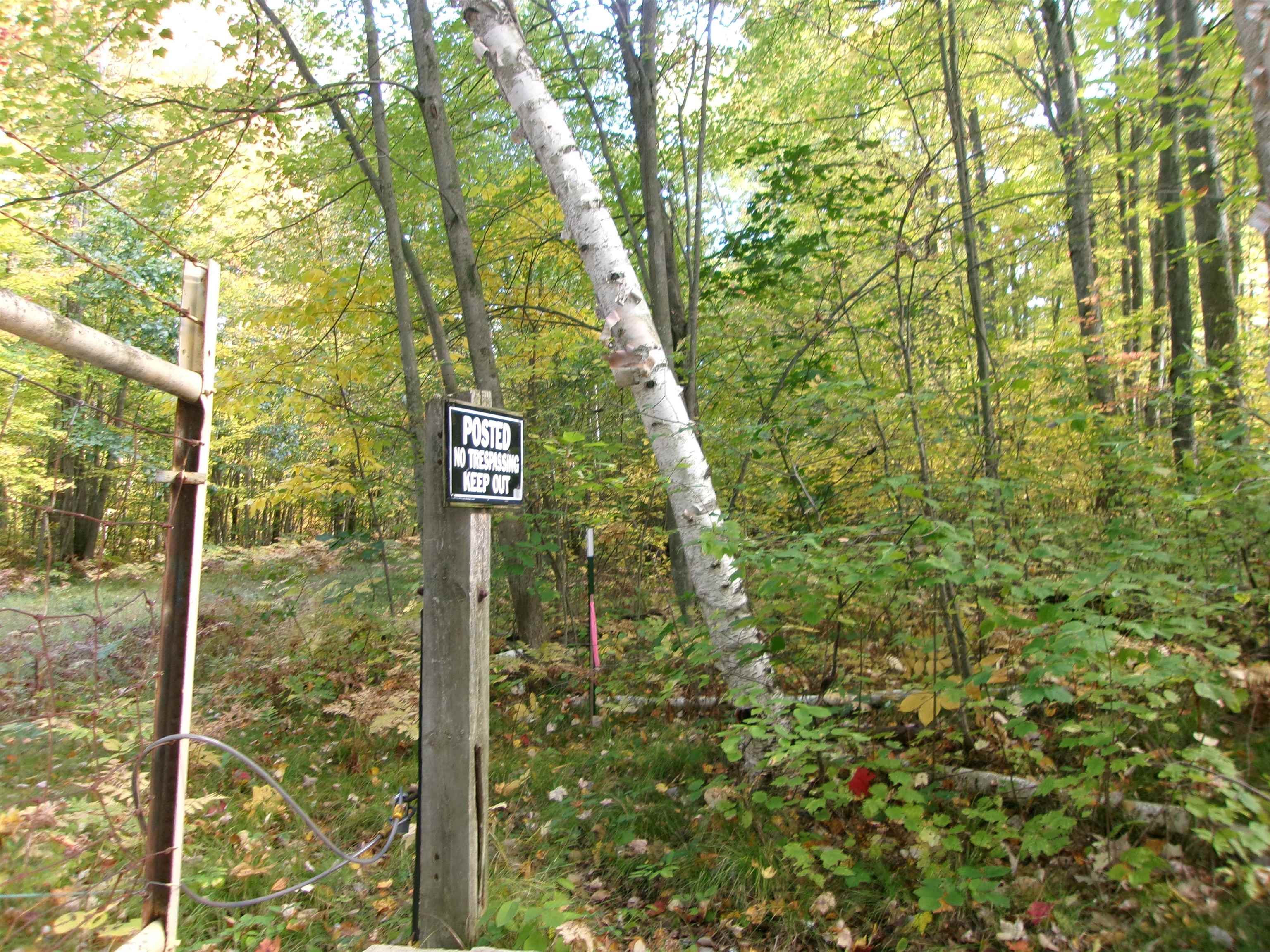 Photo 3 of Land for sale at Nhn W Cedar Rd, Harrison, MI 48625 | MLS# 50223882 | Listing updated on 2026-10-06