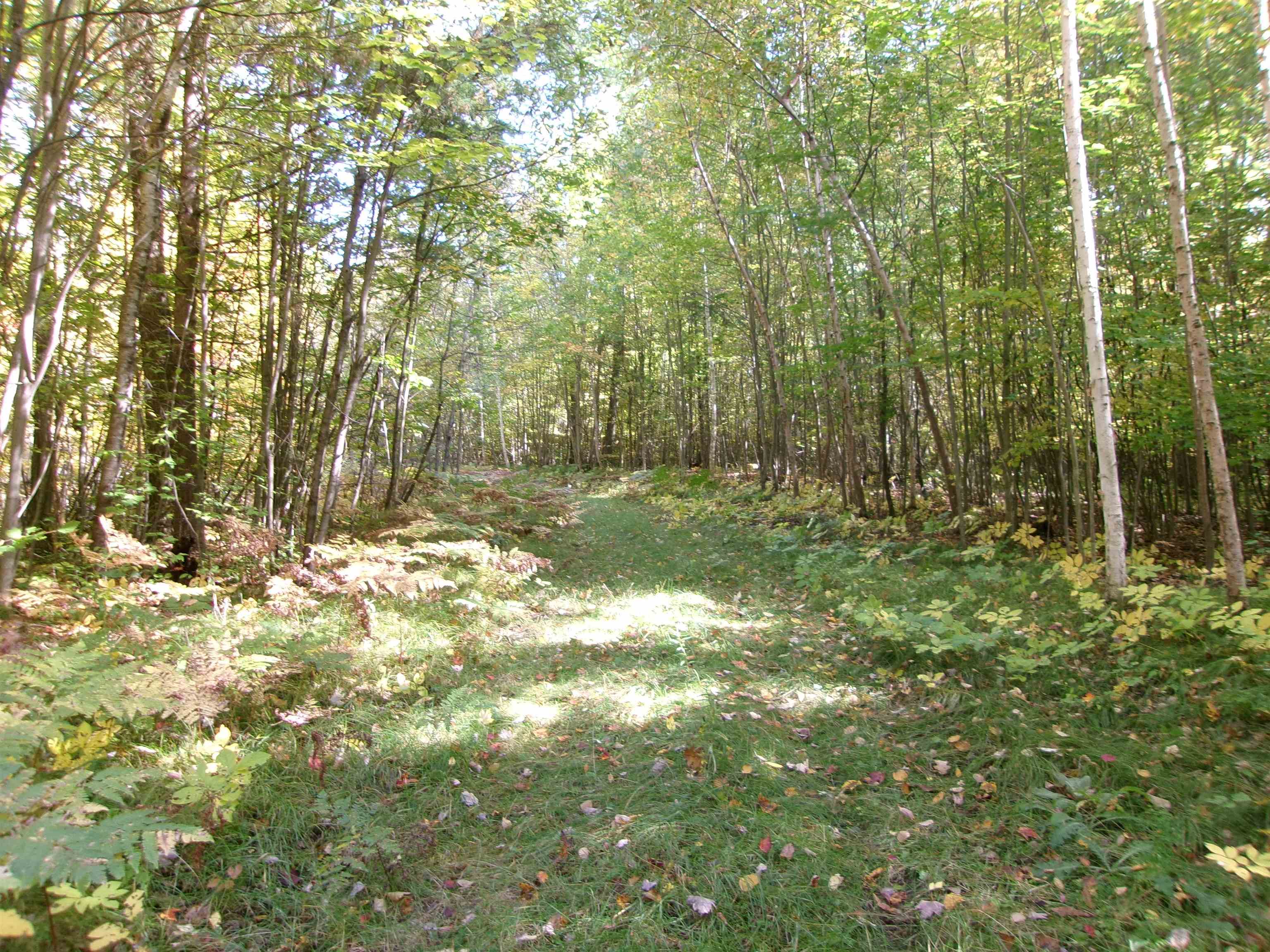 Photo 4 of Land for sale at Nhn W Cedar Rd, Harrison, MI 48625 | MLS# 50223882 | Listing updated on 2026-10-06