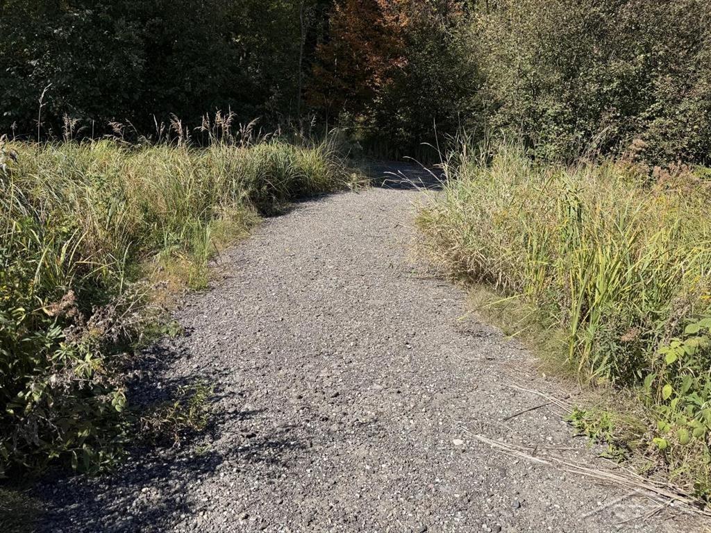Photo 2 of Land for sale at Vl S Magruder Rd, Jasper Township Midland, MI 48880 | MLS# 61050223926 | Listing updated on 2026-10-06