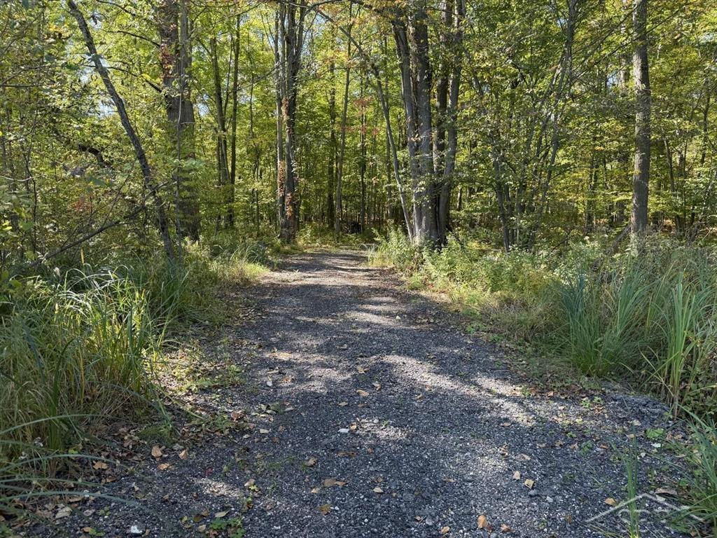 Photo 3 of Land for sale at Vl S Magruder Rd, Jasper Township Midland, MI 48880 | MLS# 61050223926 | Listing updated on 2026-10-06