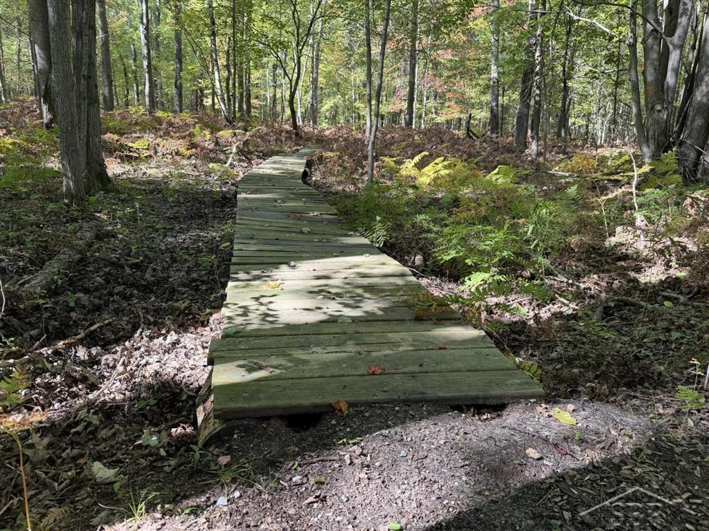 Photo 3 of Land for sale at Vl S Magruder Rd, Saint Louis, MI 48880 | MLS# 50223926 | Listing updated on 2026-10-06