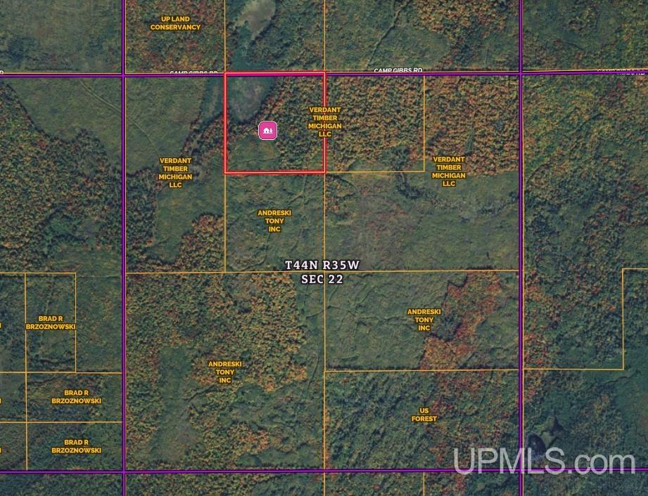 Photo 2 of Land for sale at Tbd Camp Gibbs Rd, Iron River, MI 49935 | MLS# 50223957 | Listing updated on 2026-10-06