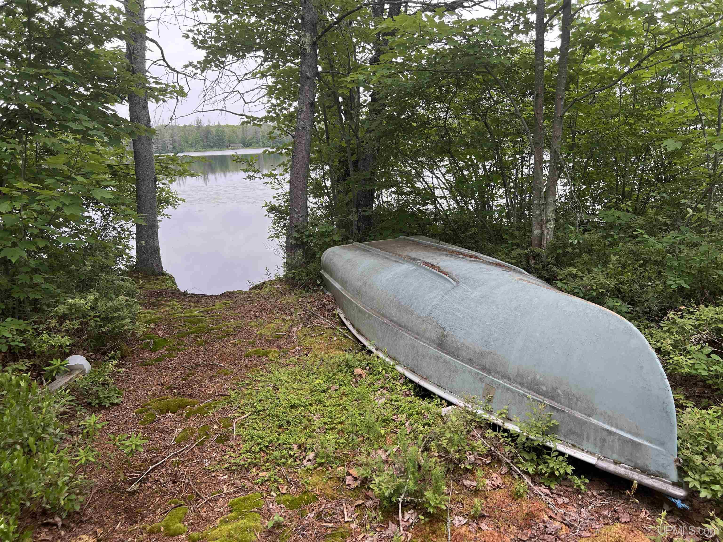 Photo 1 of Land for sale at Tbd Olson Loop Rd, Iron River, MI 49935 | MLS# 50223958 | Listing updated on 2026-10-06