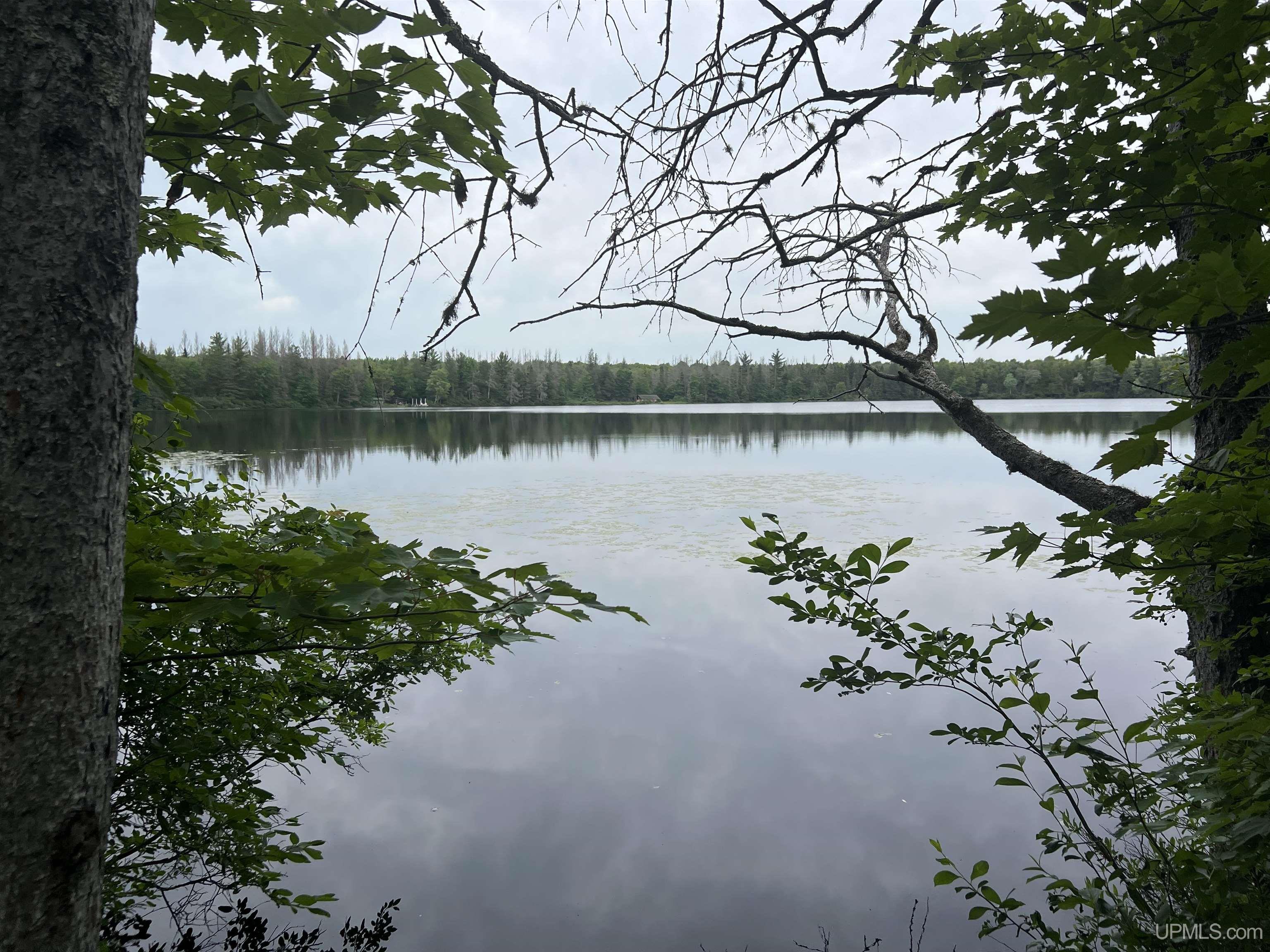 Photo 2 of Land for sale at Tbd Olson Loop Rd, Iron River, MI 49935 | MLS# 50223958 | Listing updated on 2026-10-06