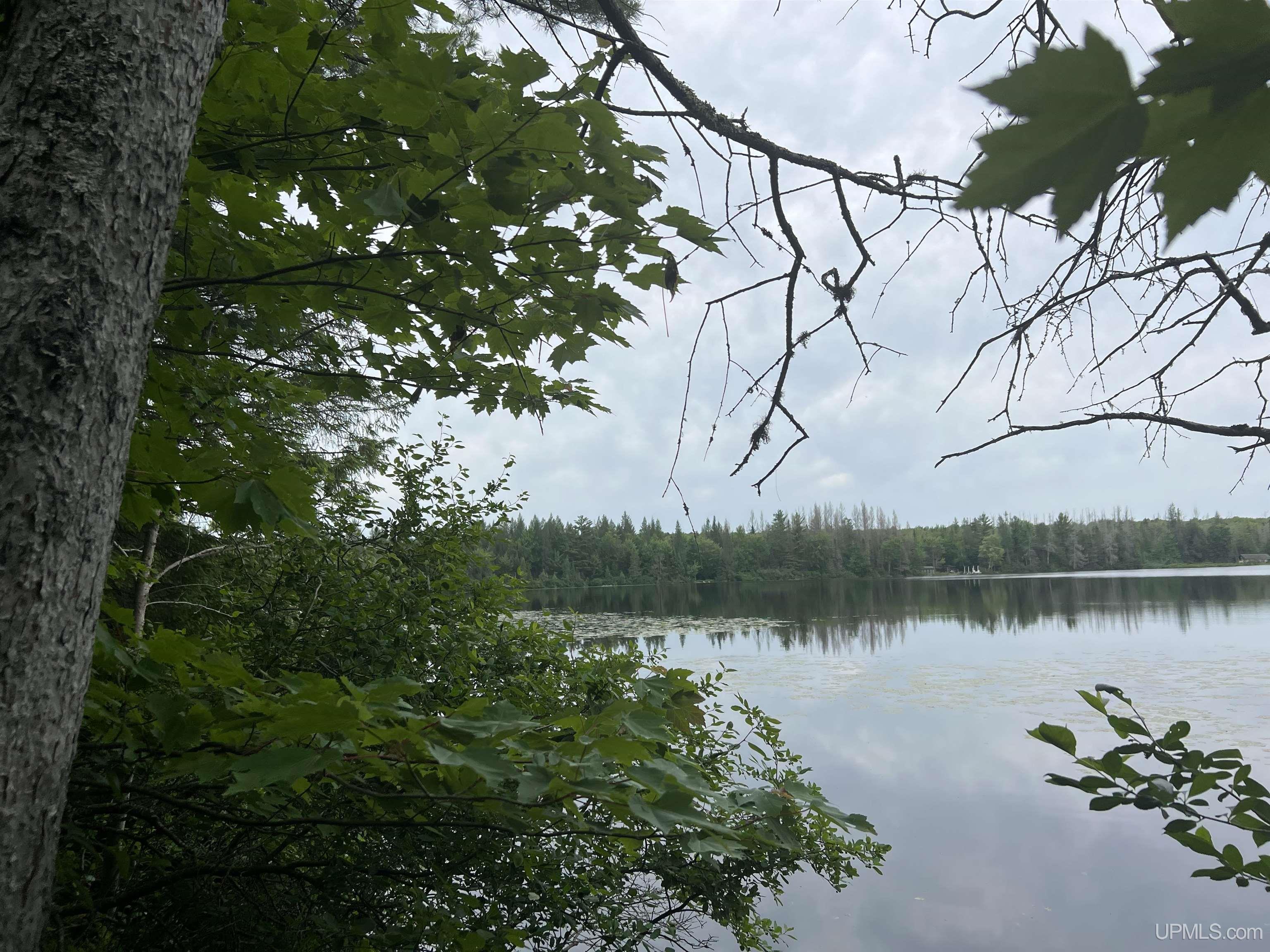 Photo 3 of Land for sale at Tbd Olson Loop Rd, Iron River, MI 49935 | MLS# 50223958 | Listing updated on 2026-10-06