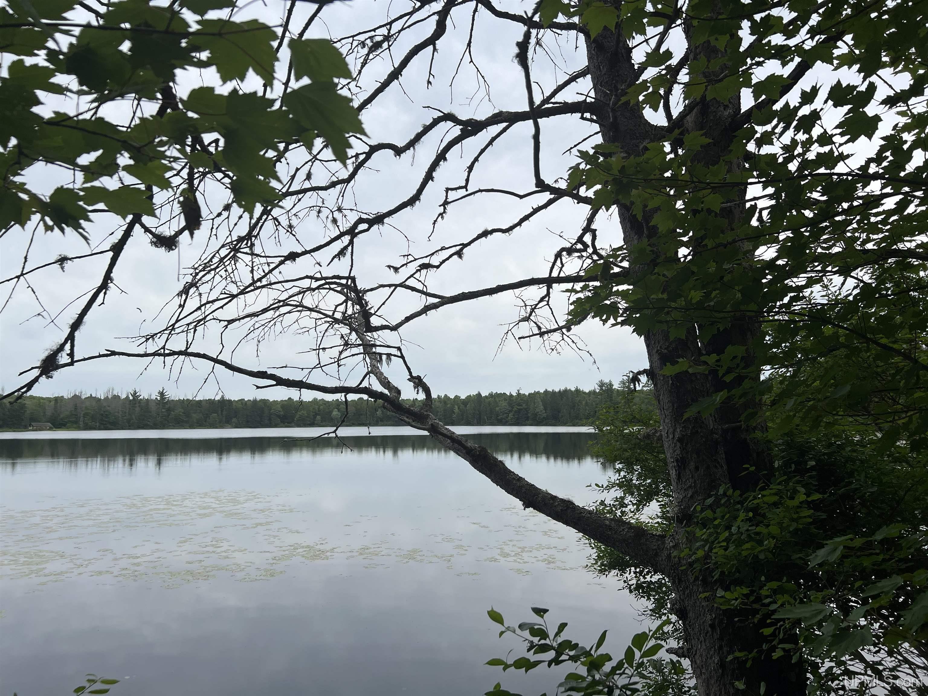 Photo 3 of Land for sale at Tbd Olson Loop Rd, Iron River, MI 49935 | MLS# 50223958 | Listing updated on 2026-10-06
