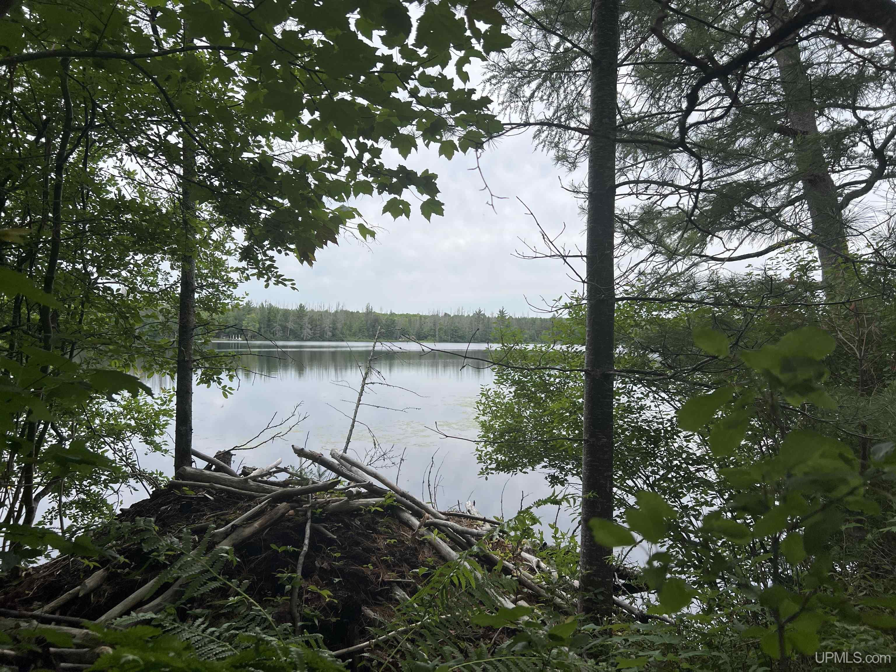 Photo 4 of Land for sale at Tbd Olson Loop Rd, Iron River, MI 49935 | MLS# 50223958 | Listing updated on 2026-10-06