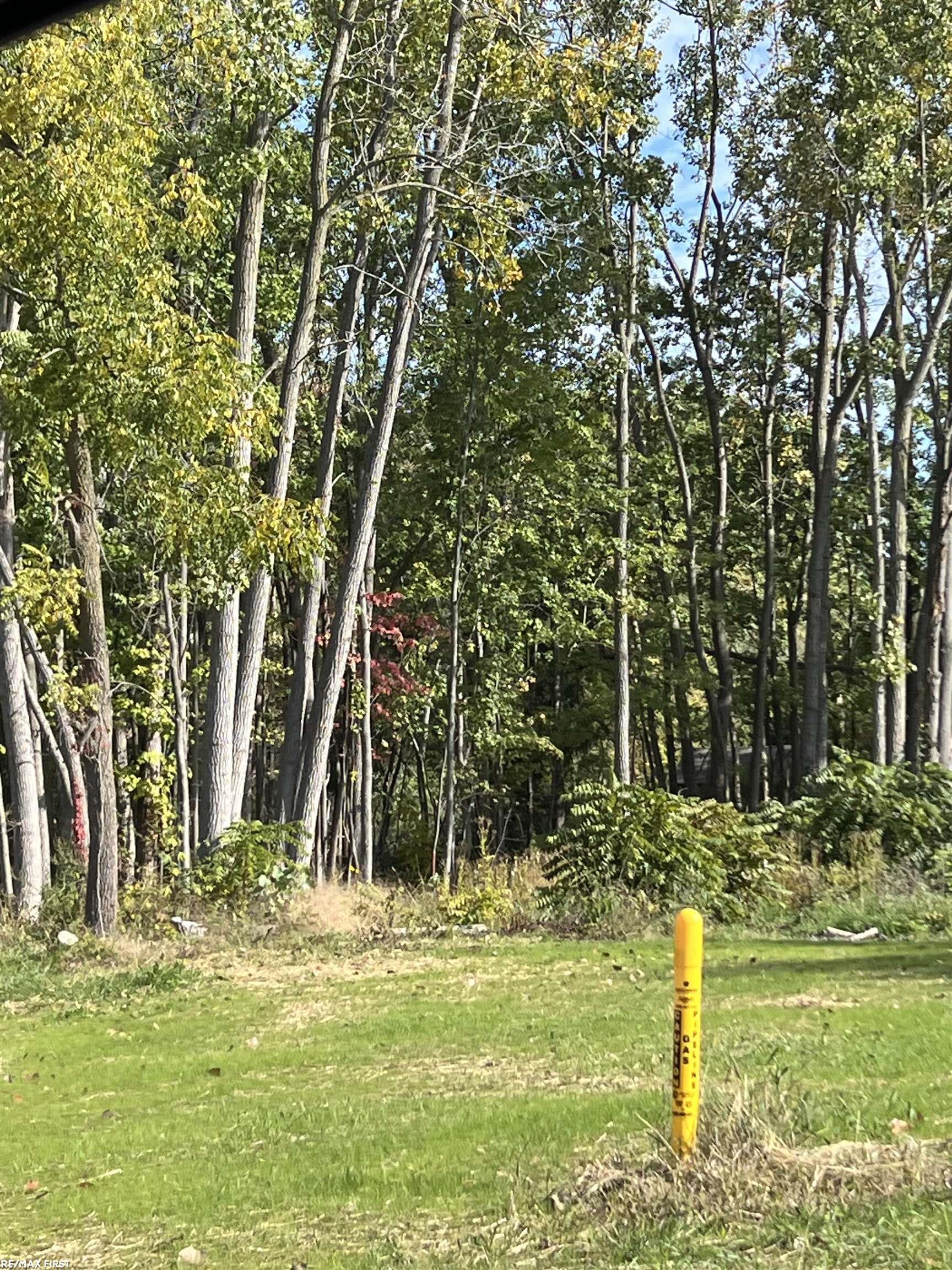 Photo 1 of Land for sale at 0 Walnut Dr, St Clair City St Clair, MI 48054 | MLS# 58050223991 | Listing updated on 2026-10-06