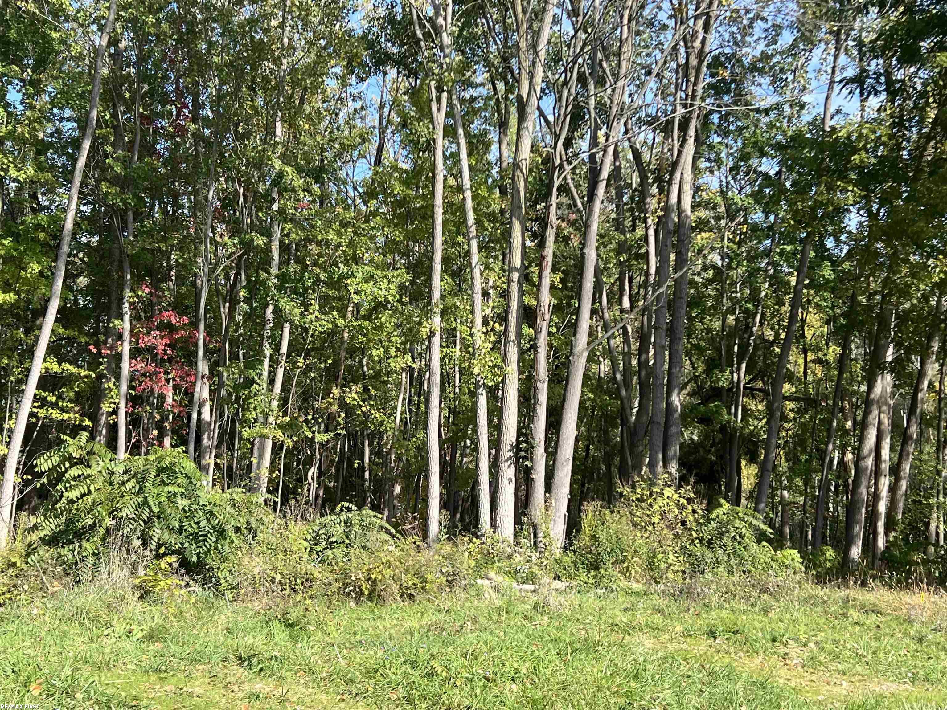 Photo 2 of Land for sale at 0 Walnut Dr, St Clair City St Clair, MI 48054 | MLS# 58050223991 | Listing updated on 2026-10-06