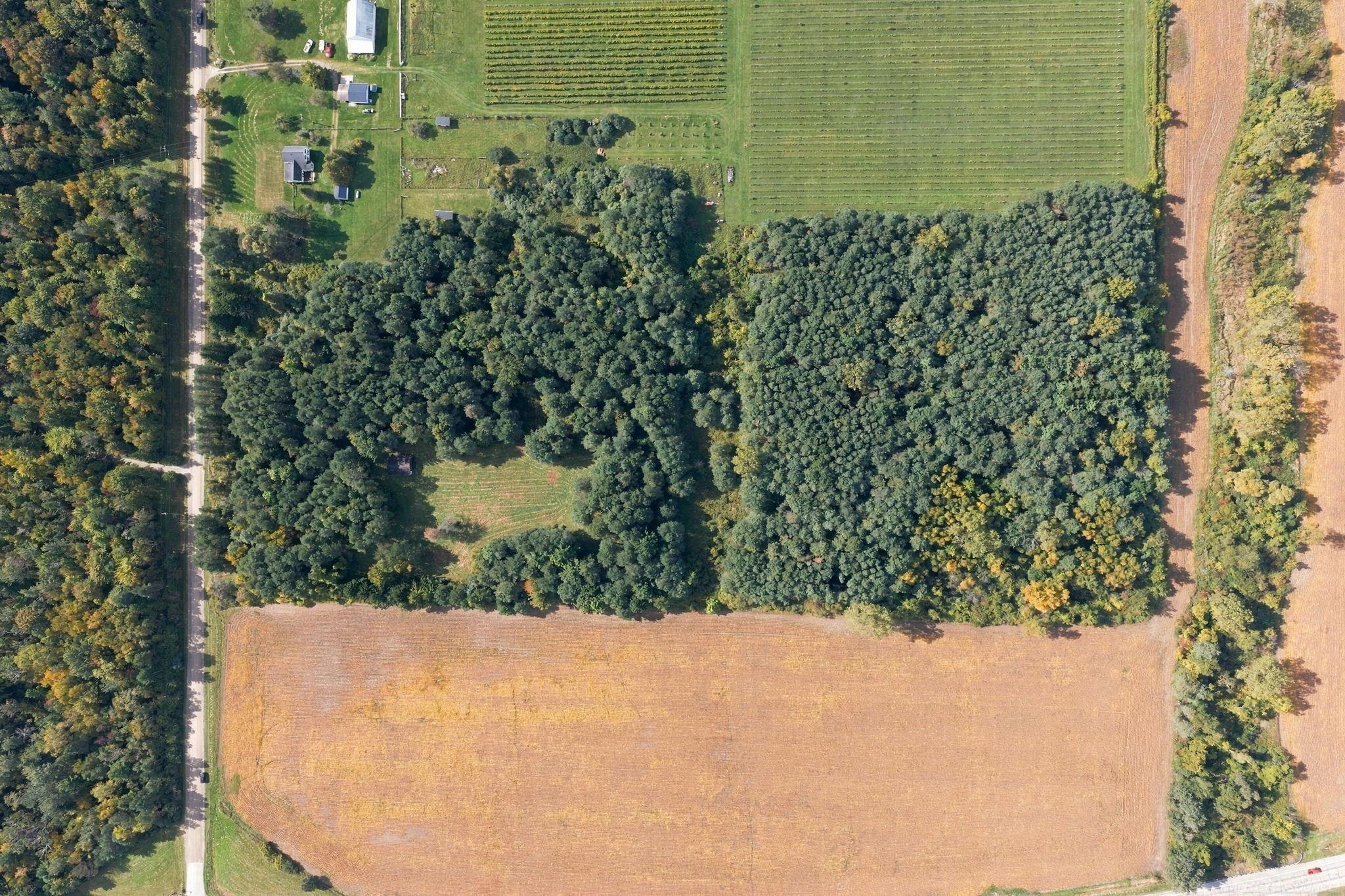 Photo 2 of Land for sale at 7141 Holverson Rd, Carsonville, MI 48419 | MLS# 58050224024 | Listing updated on 2026-10-06