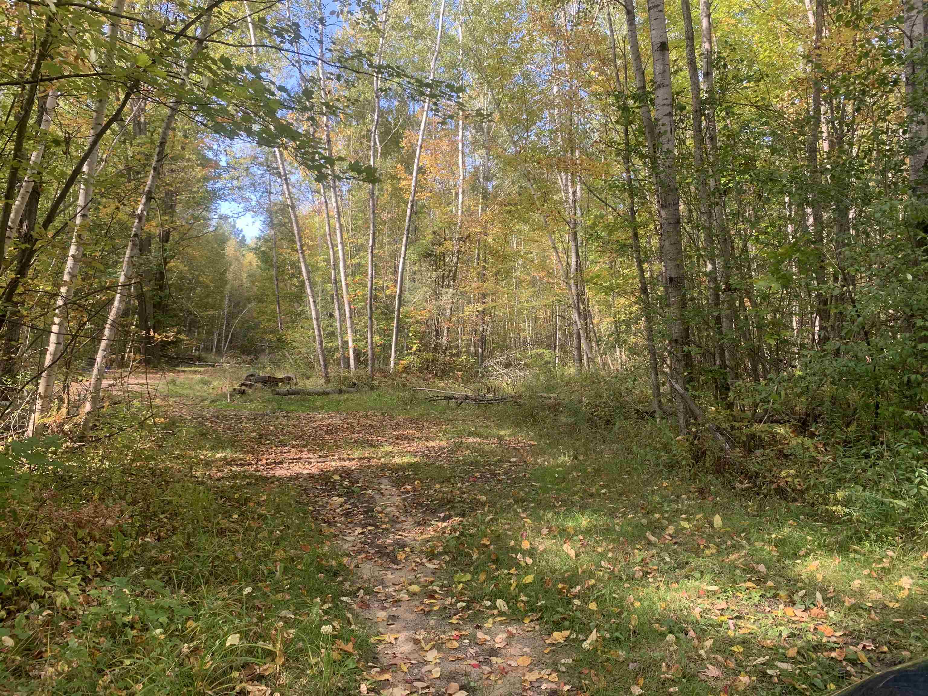 Photo 1 of Land for sale at E W Branch Rd, Saint Helen, MI 48656 | MLS# 50224053 | Listing updated on 2026-10-07