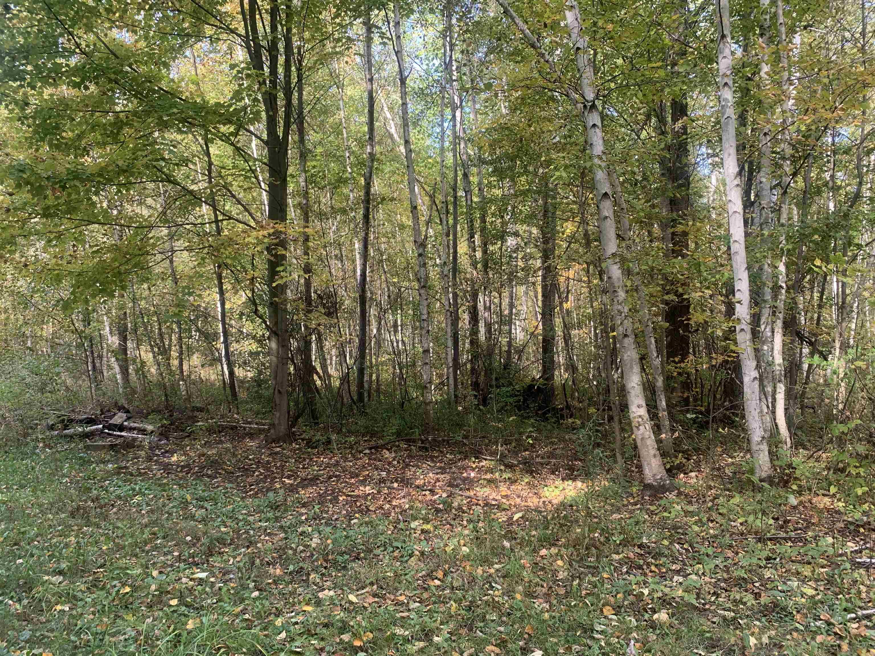 Photo 2 of Land for sale at E W Branch Rd, Saint Helen, MI 48656 | MLS# 50224053 | Listing updated on 2026-10-07