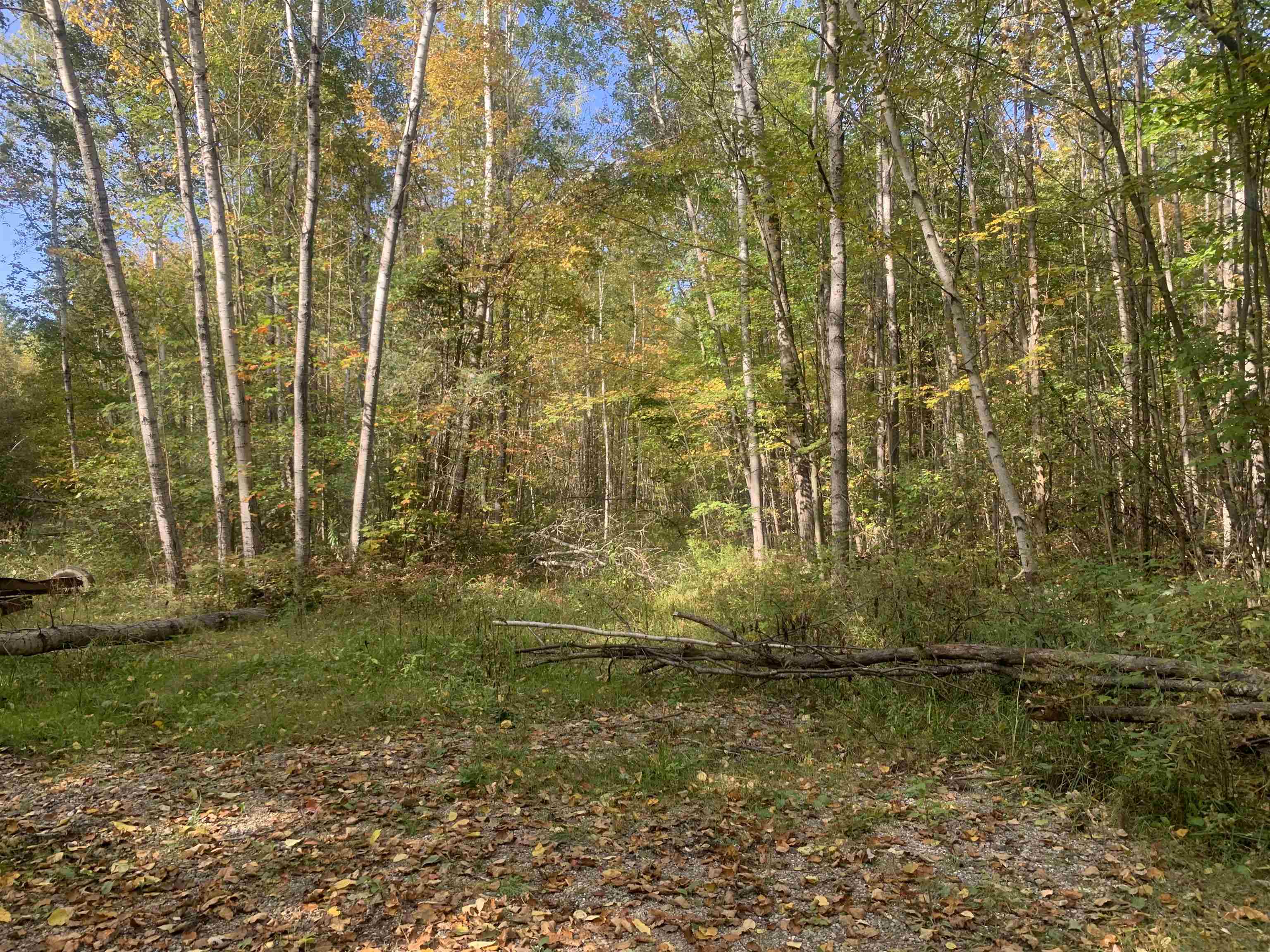 Photo 3 of Land for sale at E W Branch Rd, Saint Helen, MI 48656 | MLS# 50224053 | Listing updated on 2026-10-07